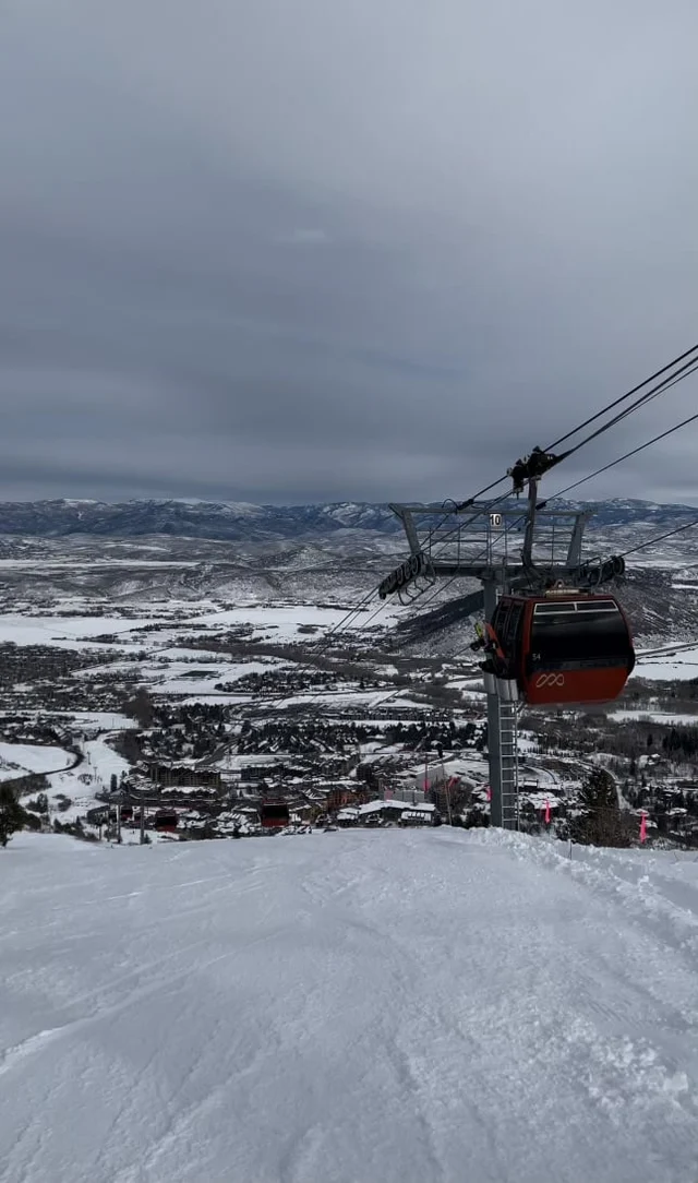 Wander Park City Allure #42