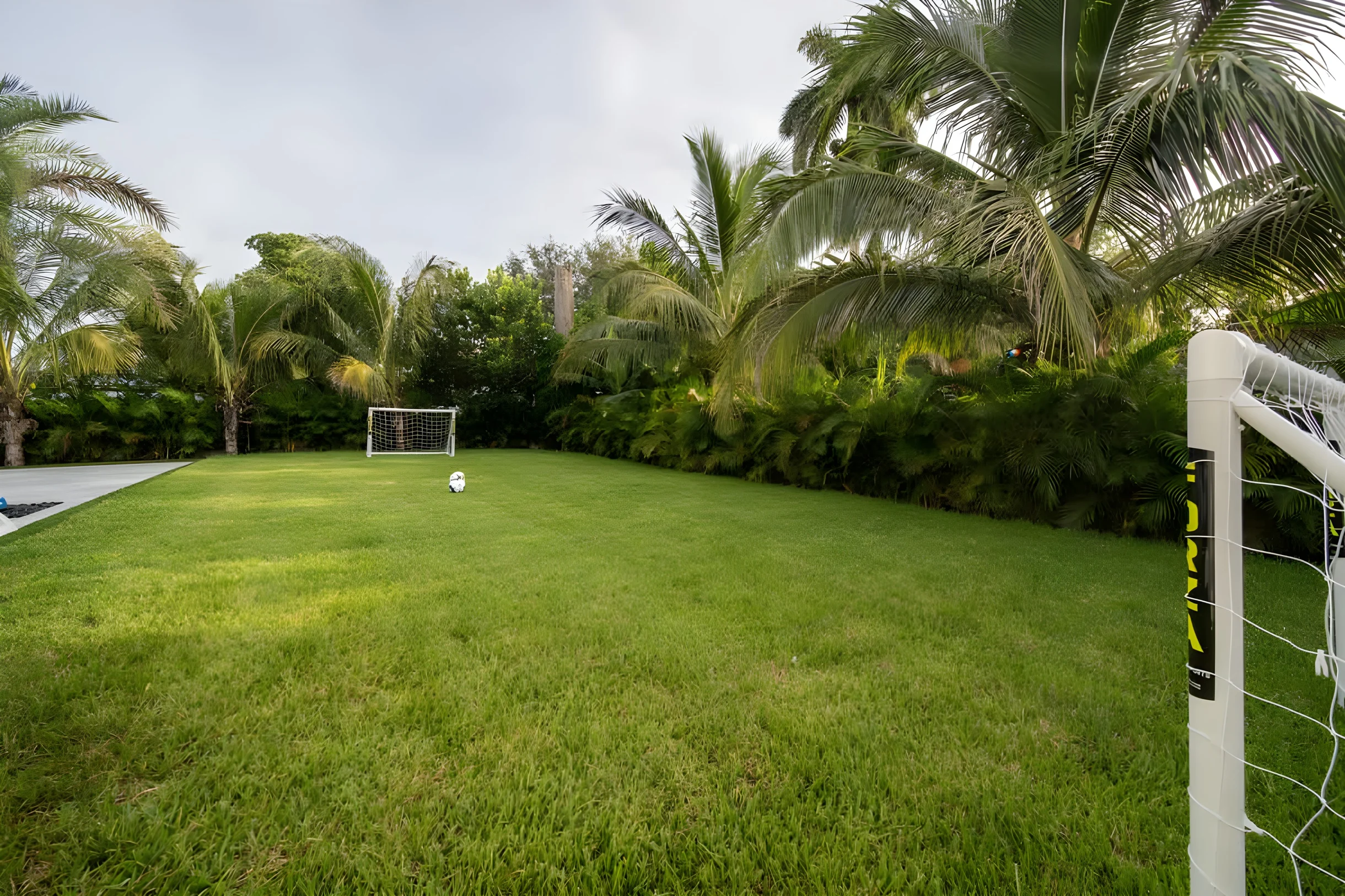 Wander Miami Paradise #57