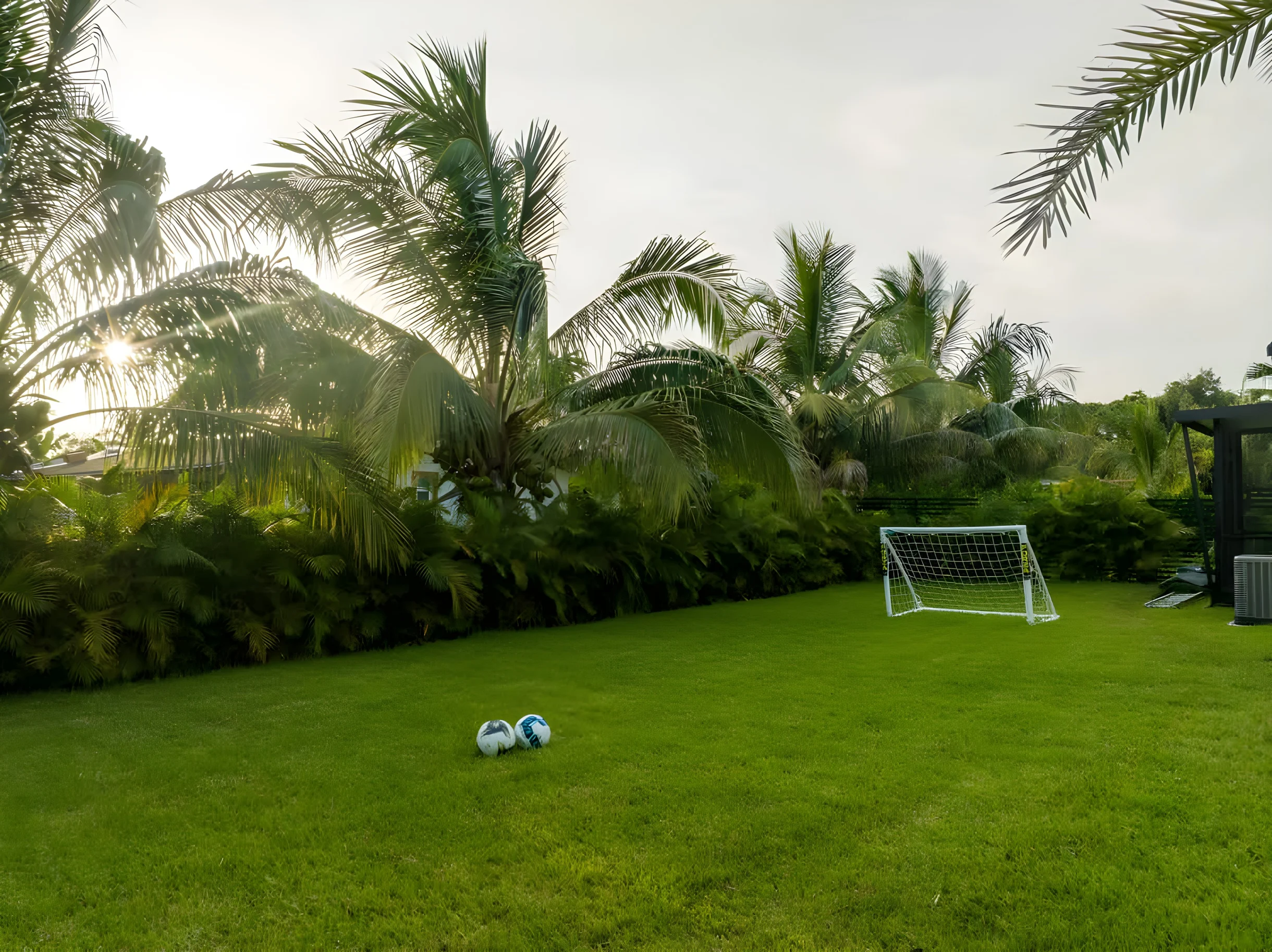 Wander Miami Paradise #55