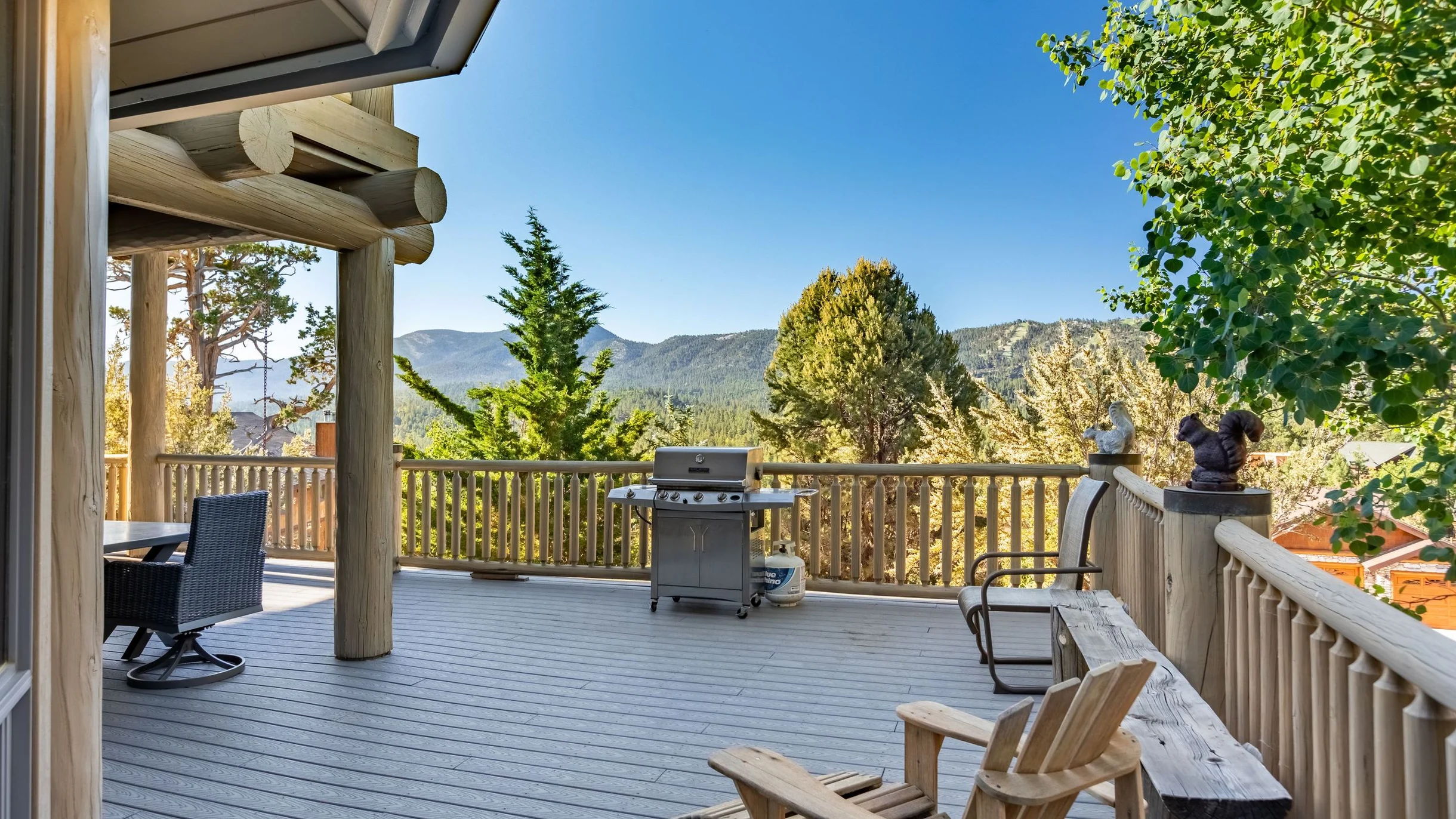 Wander Big Bear Eagles #77