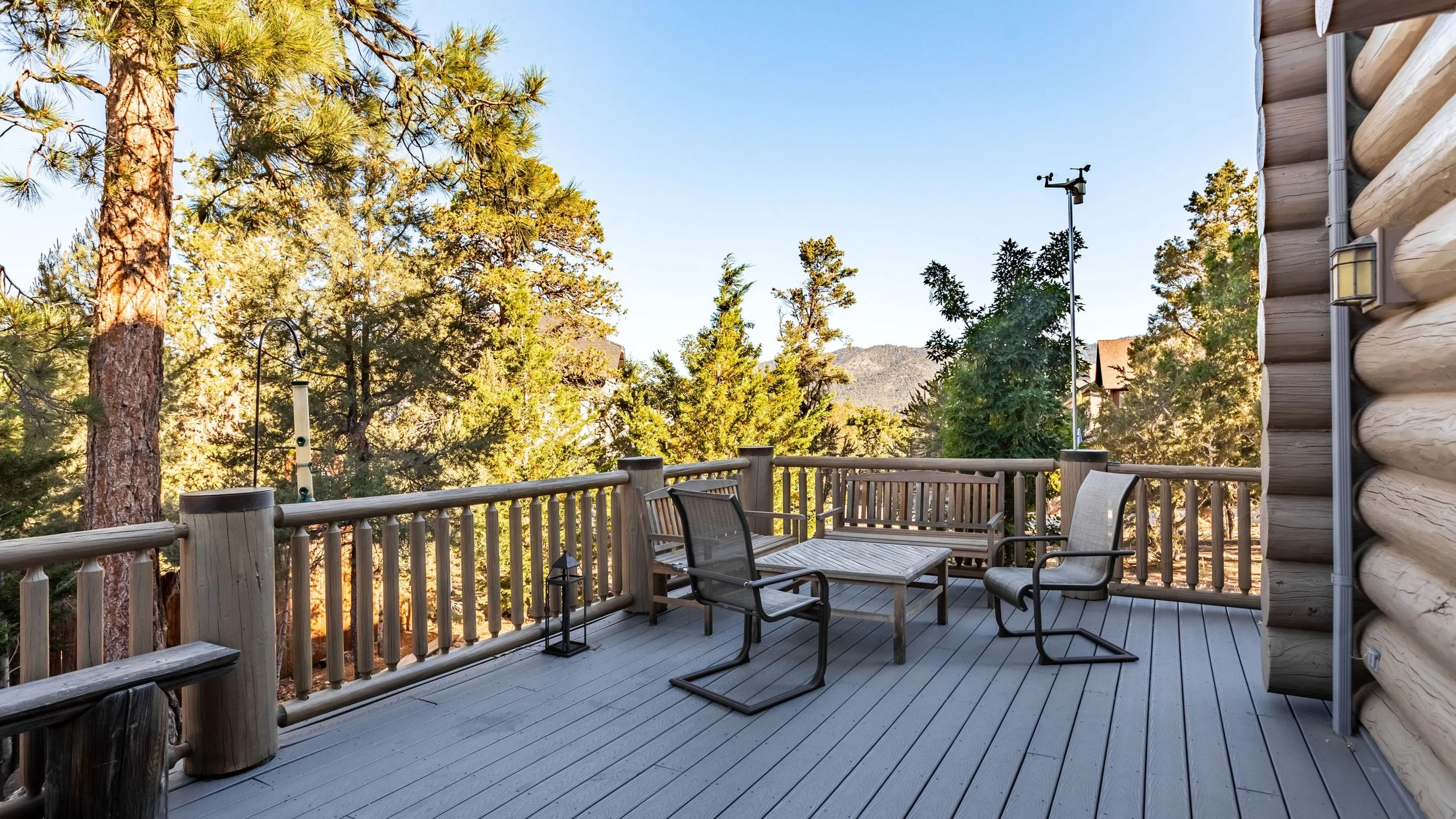Wander Big Bear Eagles #111