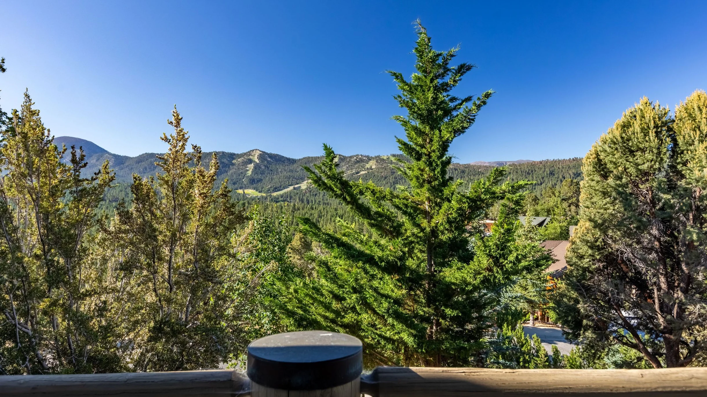 Wander Big Bear Eagles #78