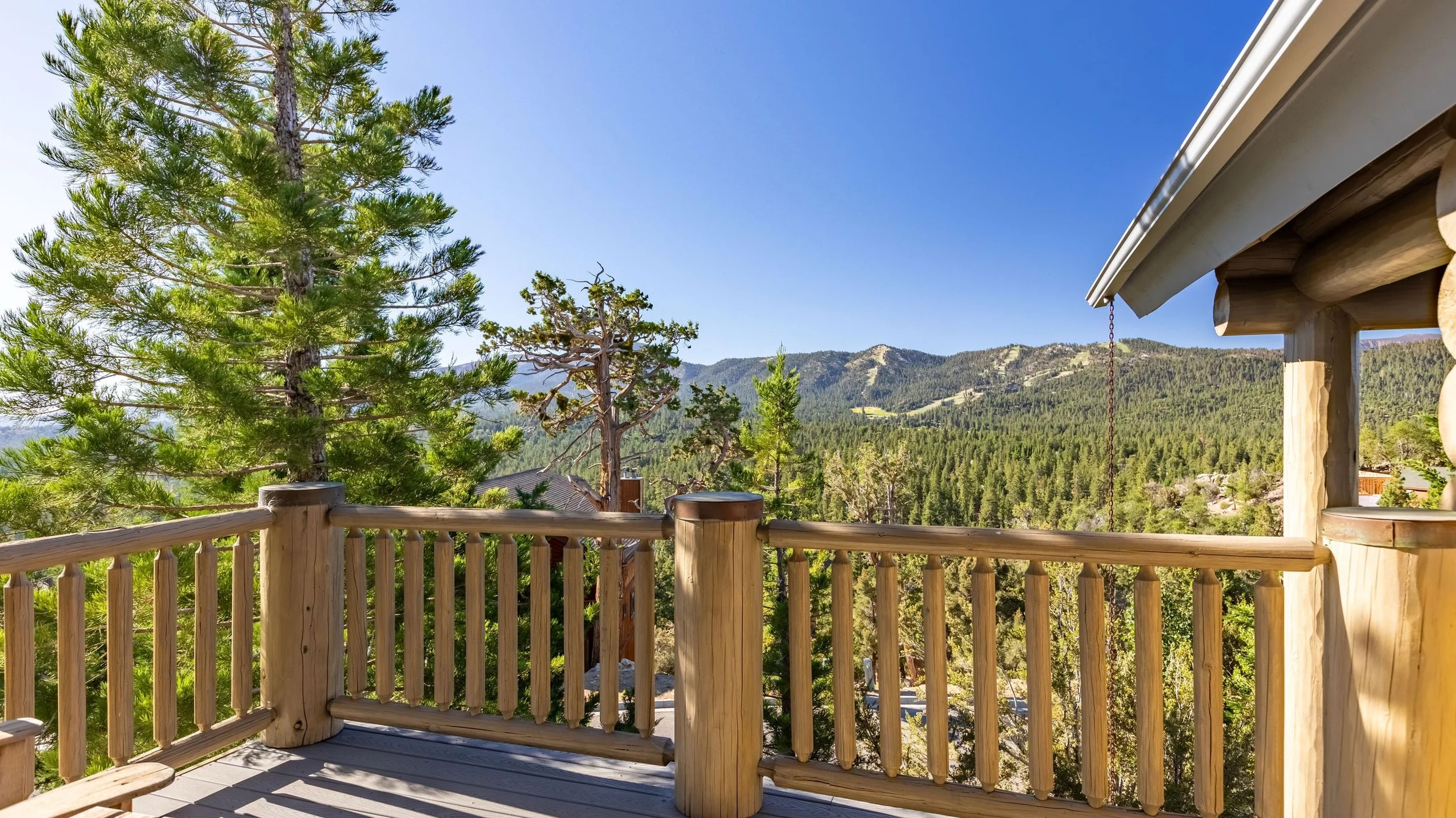 Wander Big Bear Eagles #110