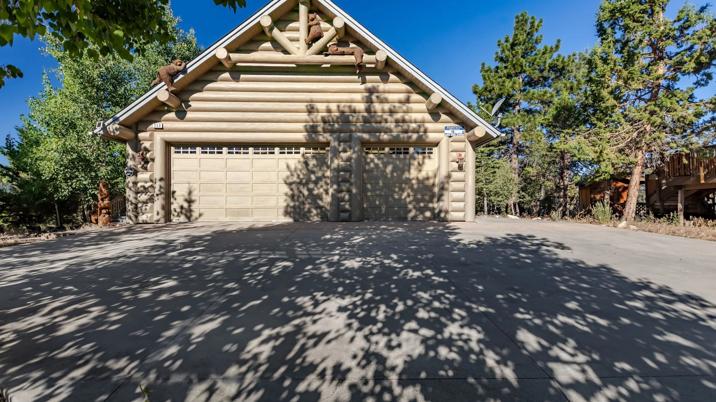 Wander Big Bear Eagles #67