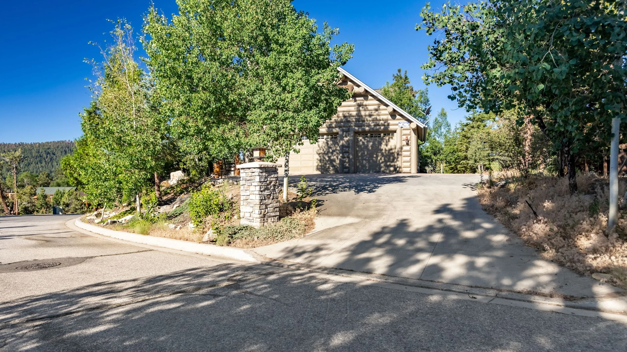 Wander Big Bear Eagles #89