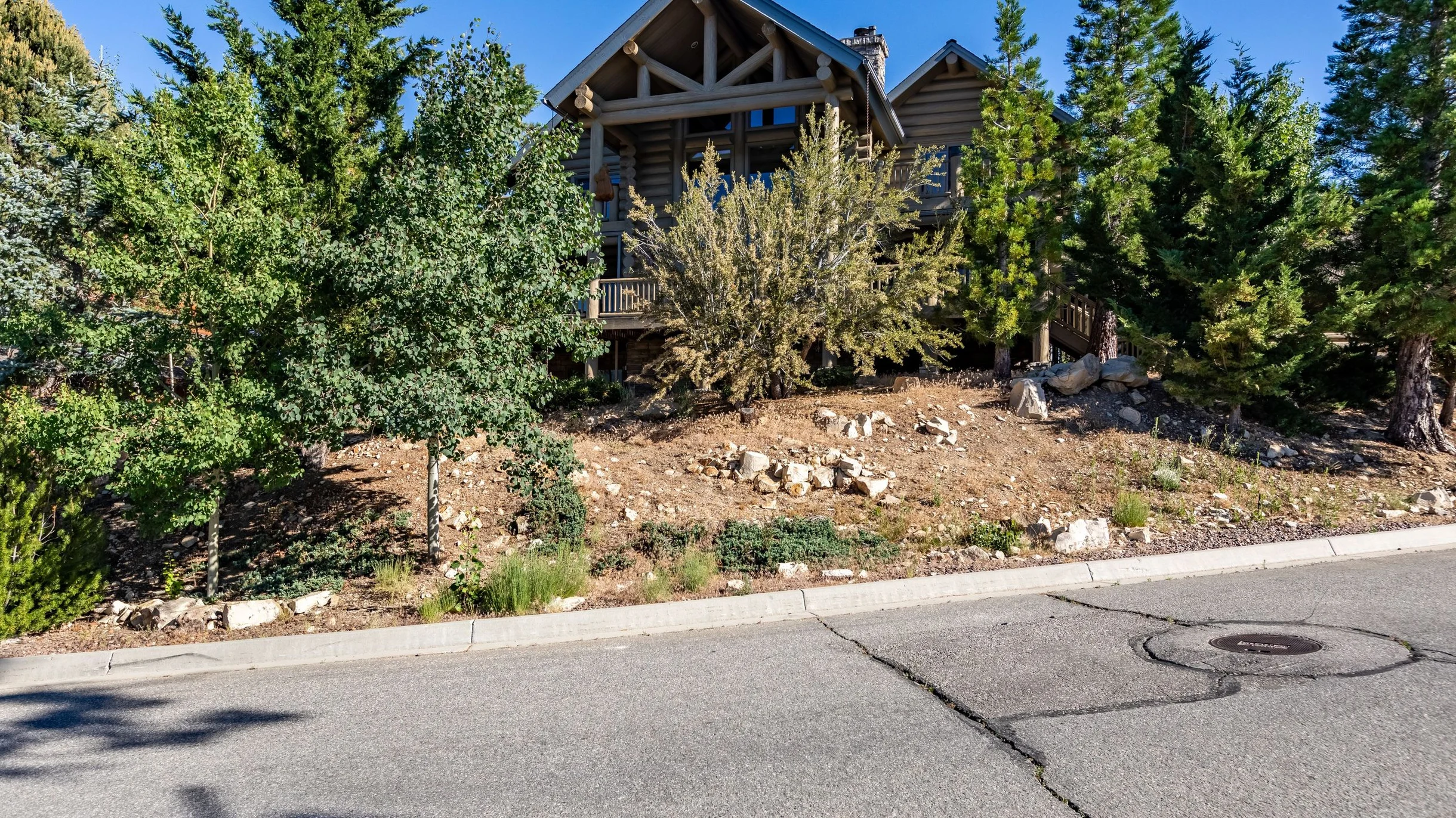 Wander Big Bear Eagles #74