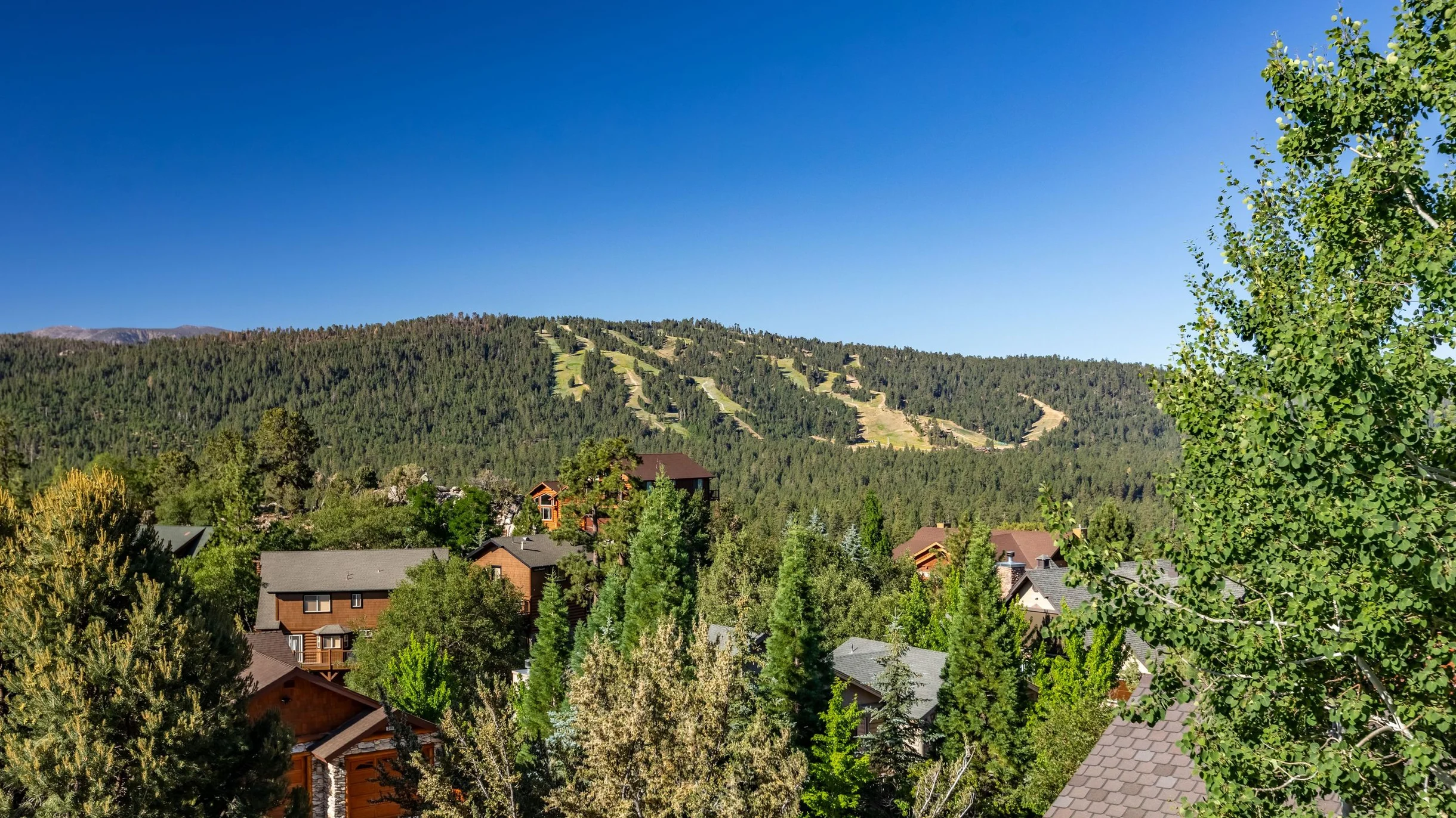 Wander Big Bear Eagles #101