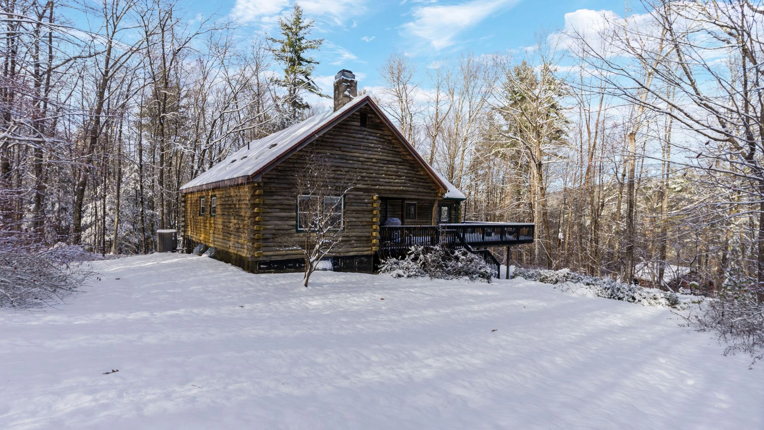 Wander Great Barrington Woods #36