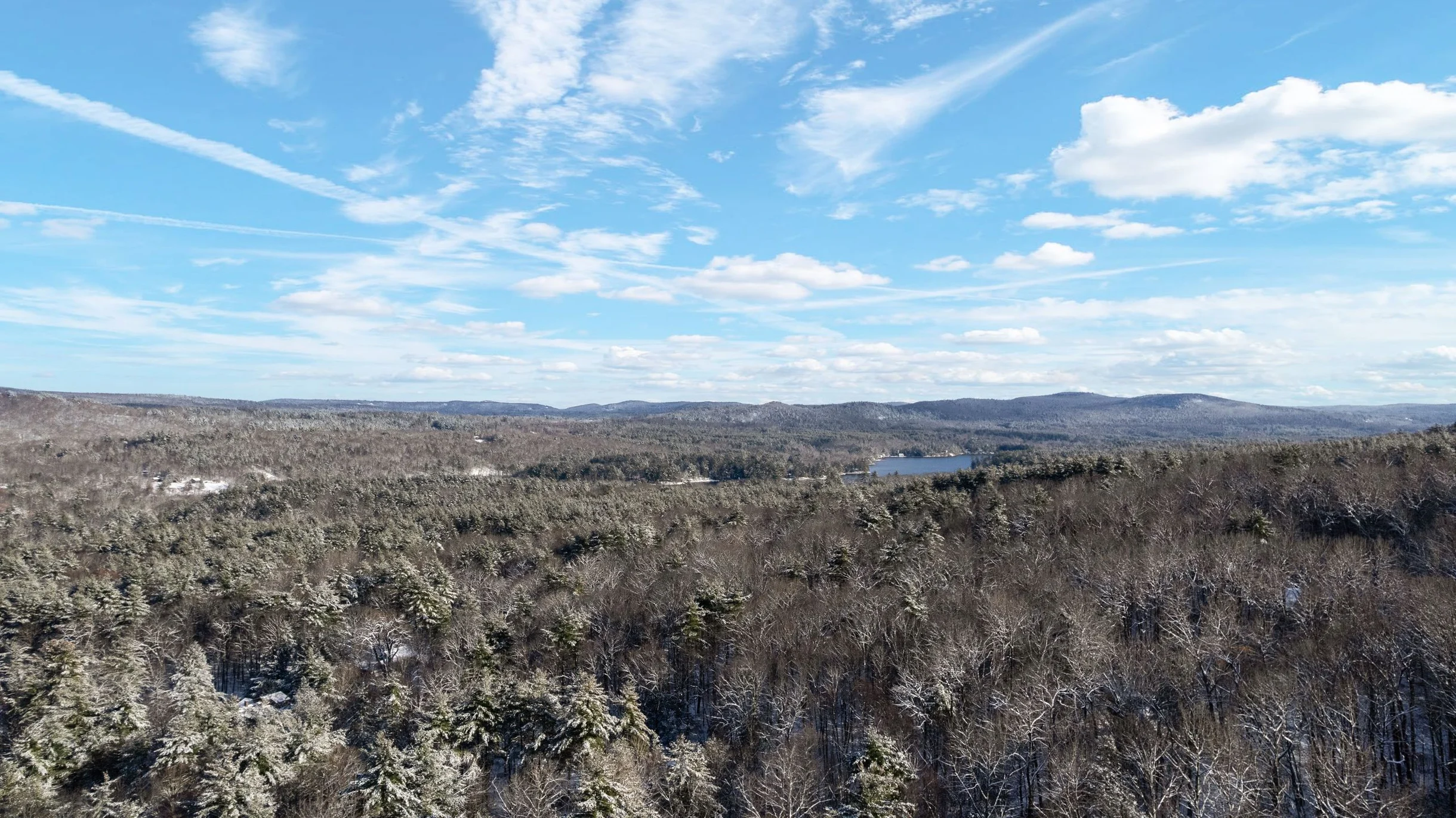 Wander Great Barrington Woods #62