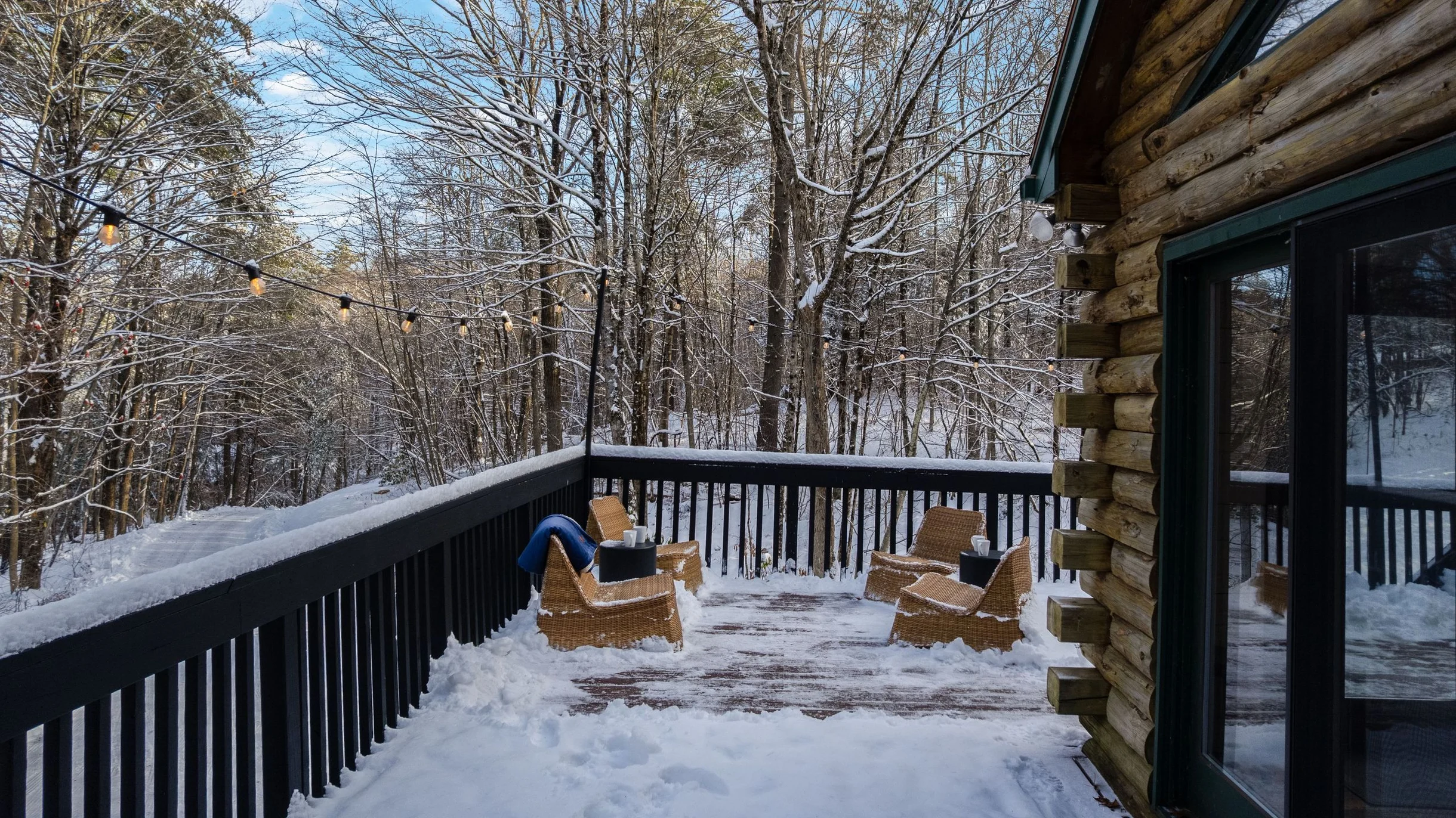 Wander Great Barrington Woods #57