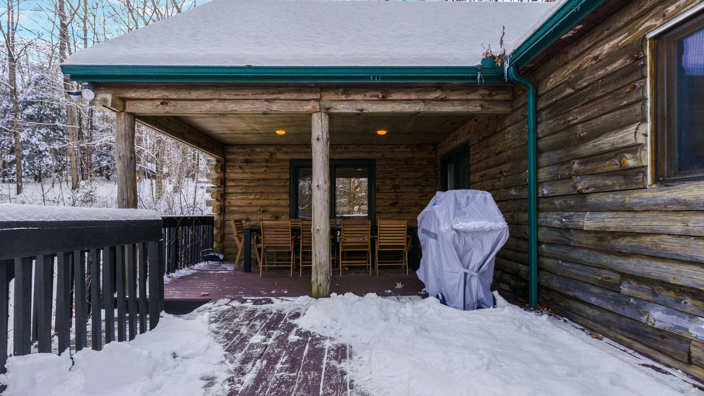 Wander Great Barrington Woods #68