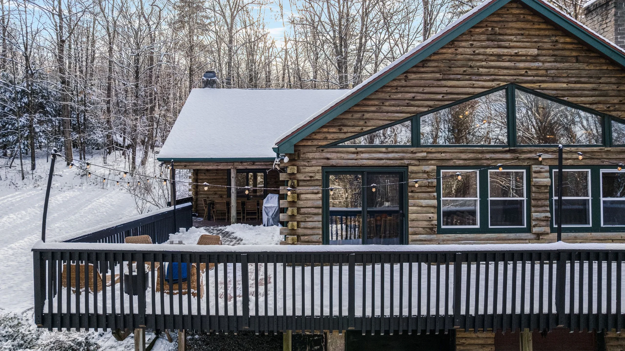 Wander Great Barrington Woods #64