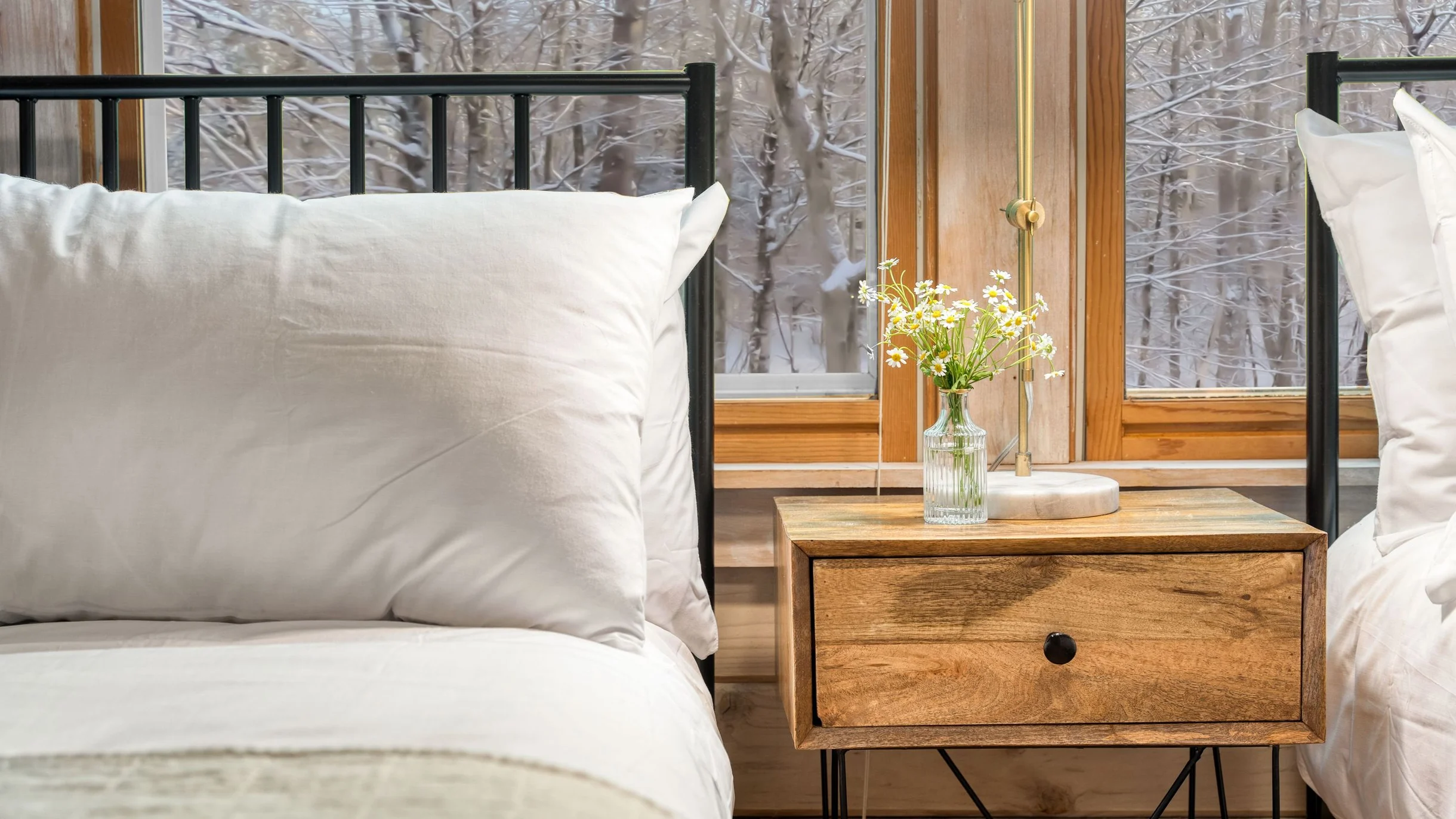 Wander Great Barrington Woods #56