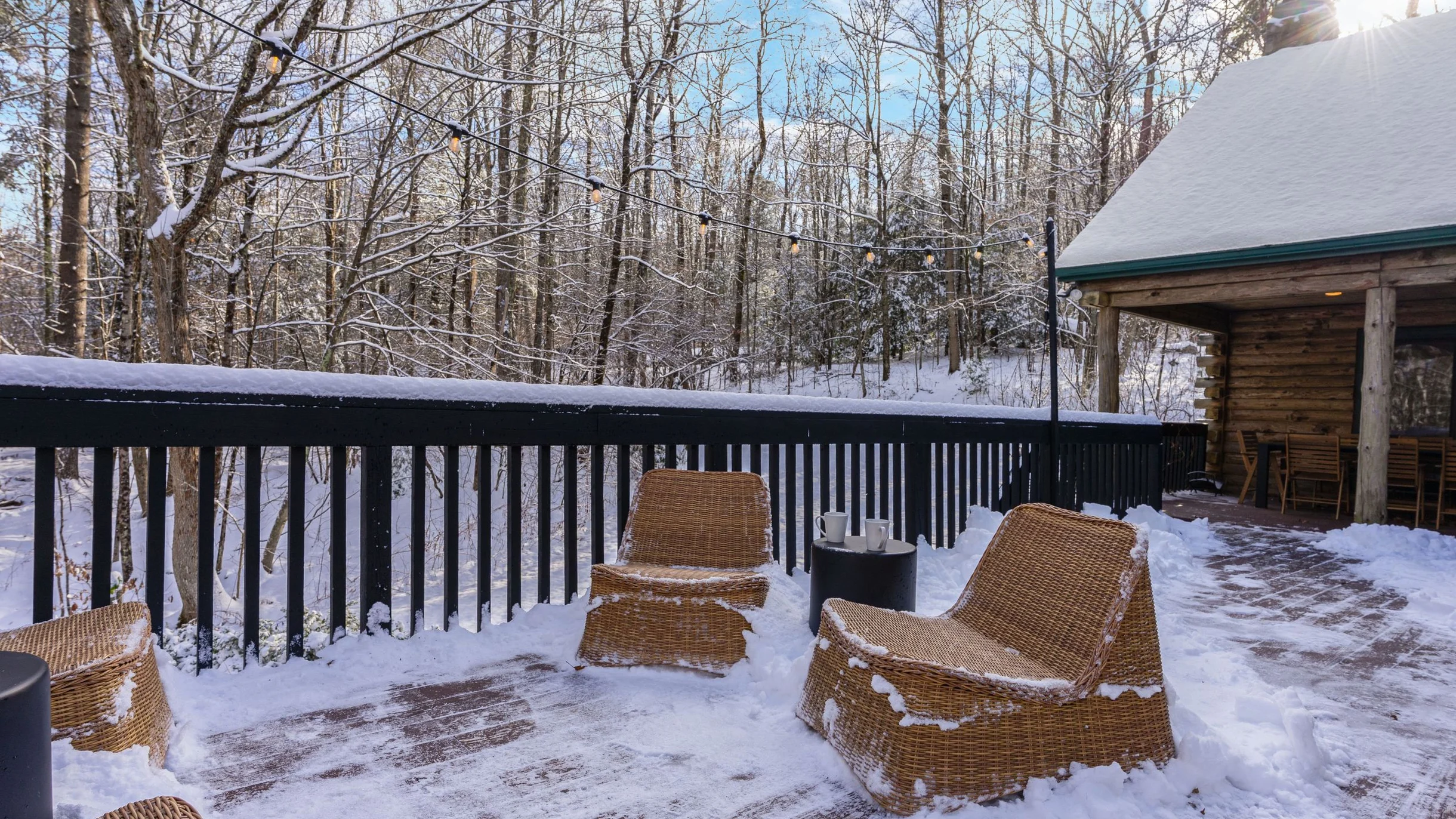 Wander Great Barrington Woods #60