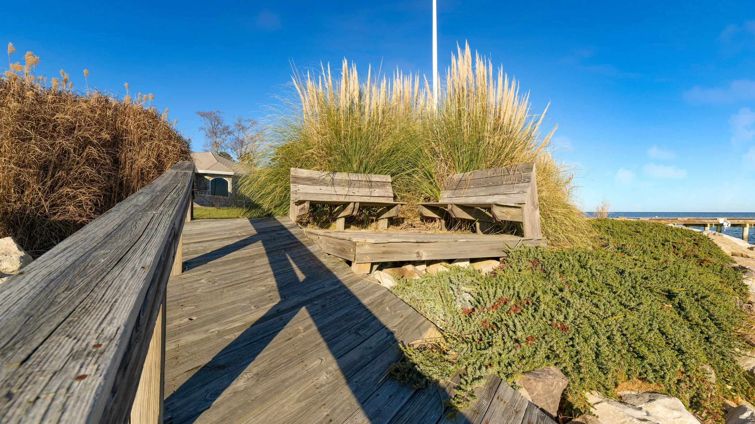 Wander Dameron Bayfront #99
