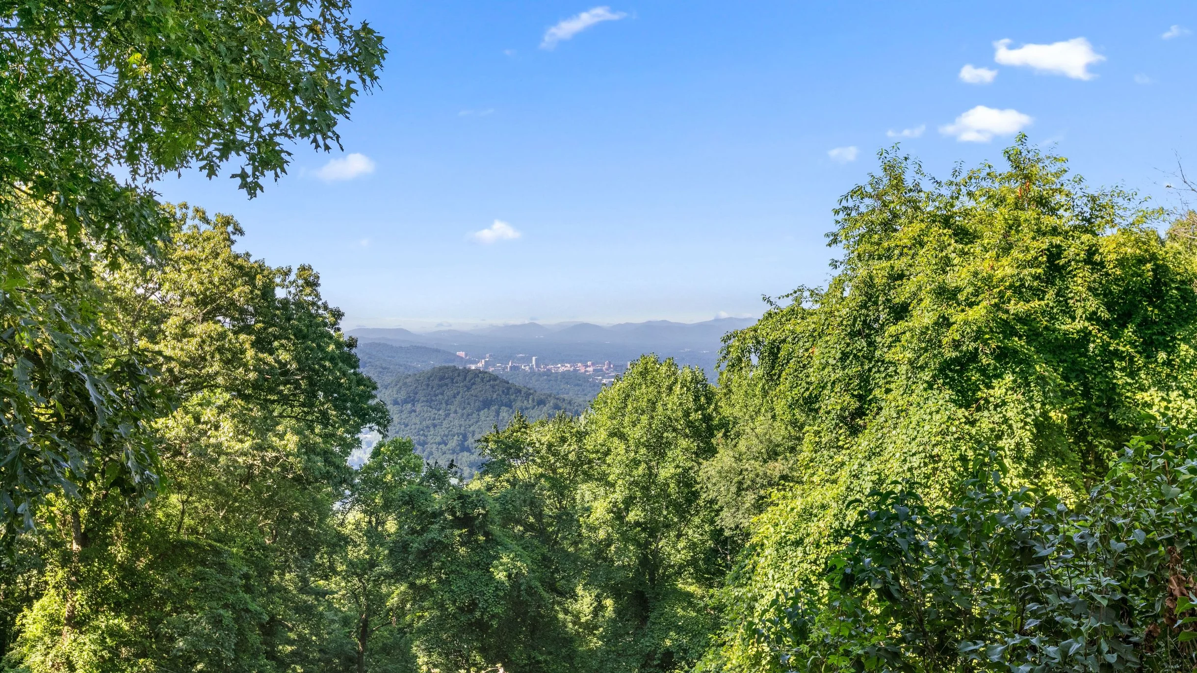 Wander Elk Mountain Retreat #73