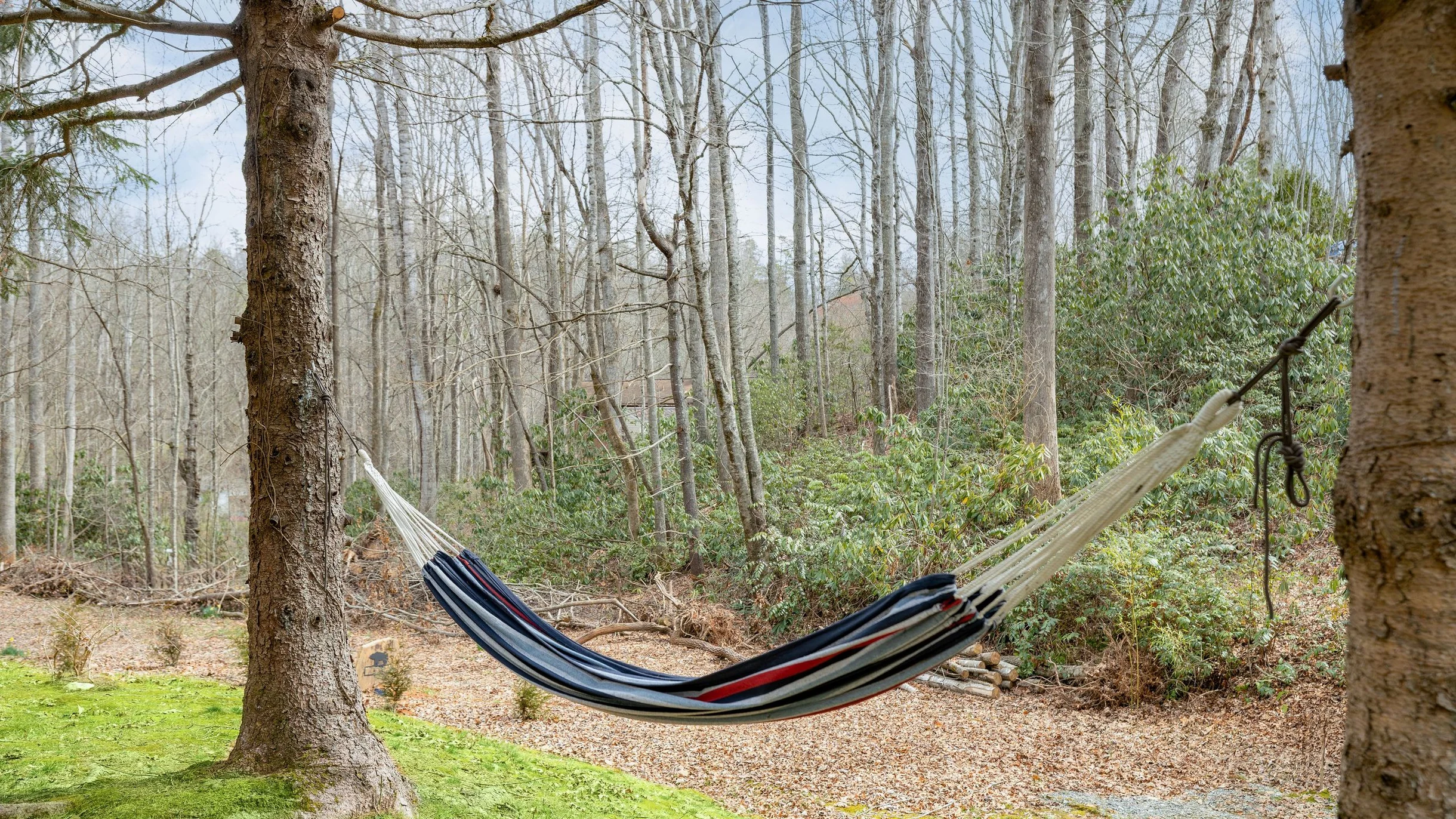 Wander Brevard Mountain #49