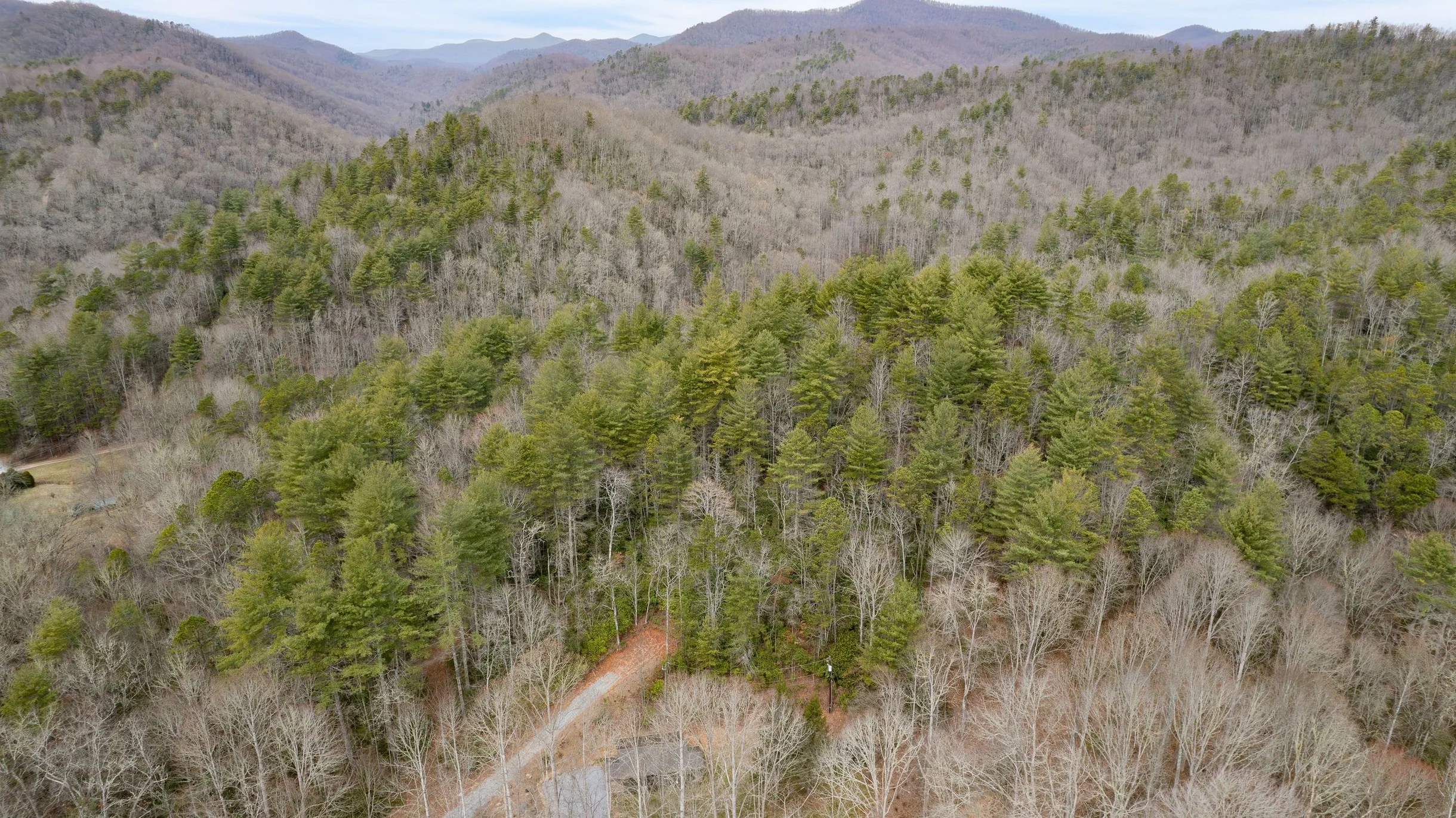 Wander Brevard Mountain #41
