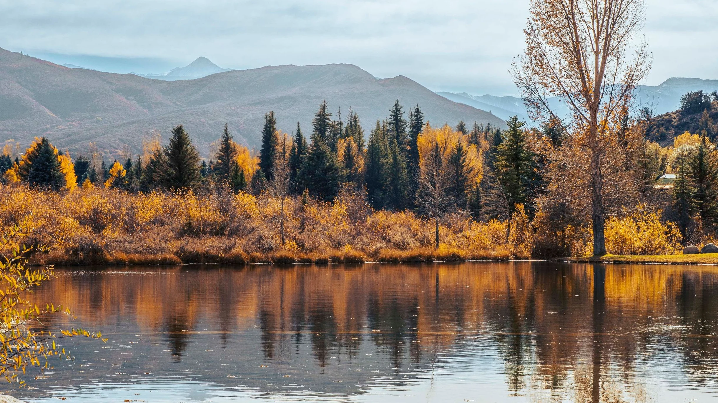 Wander Snowmass Peaks #85
