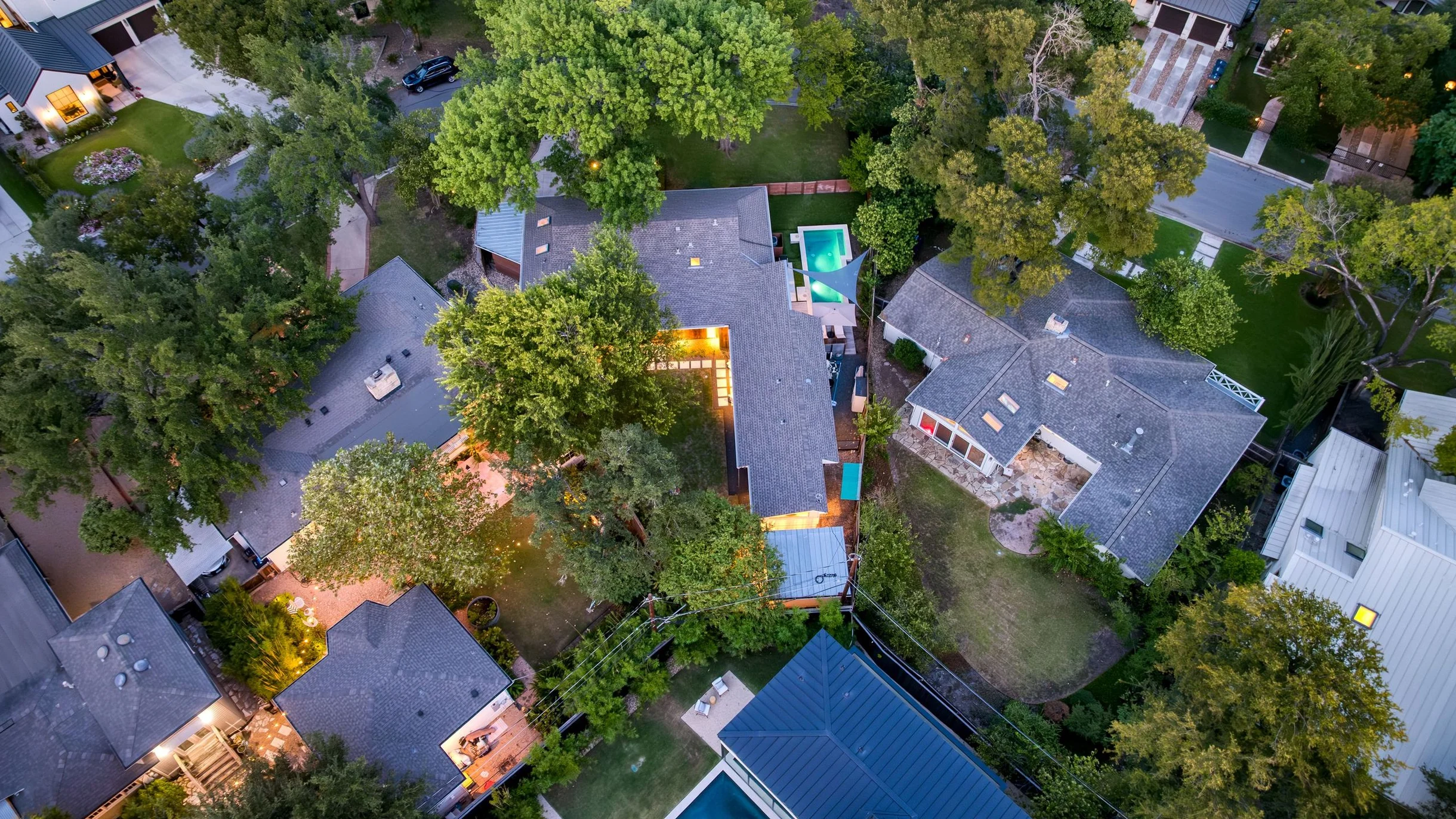 Wander Austin Leaf #77