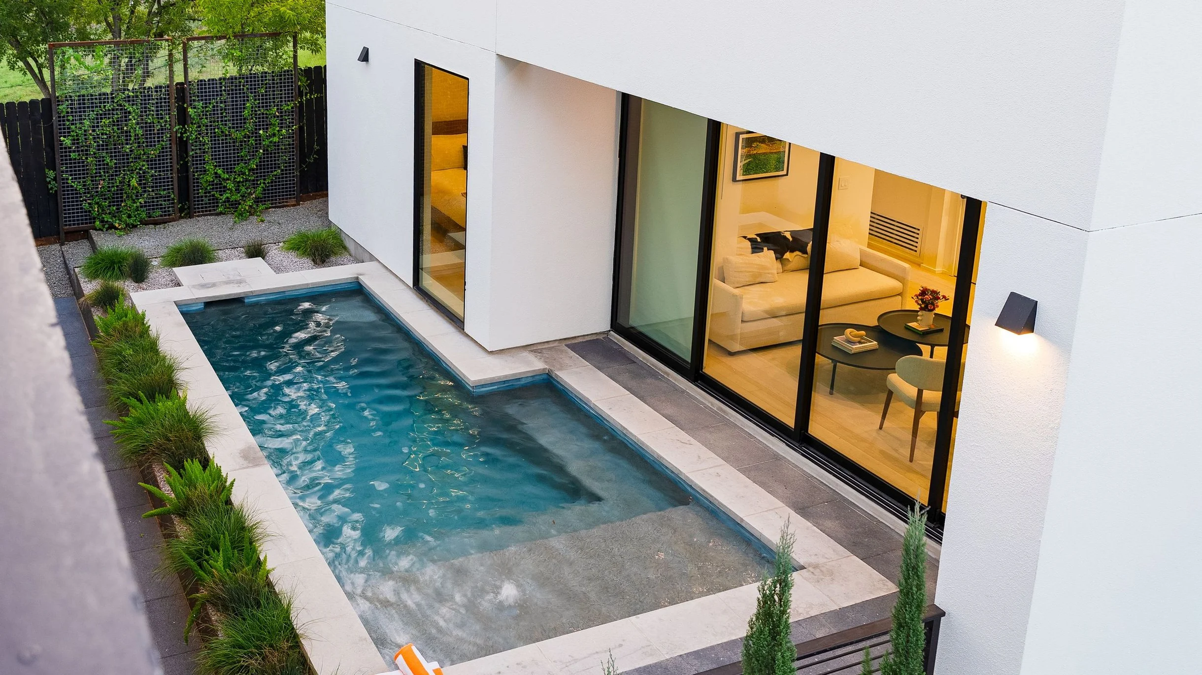 Wander Austin Timber #61