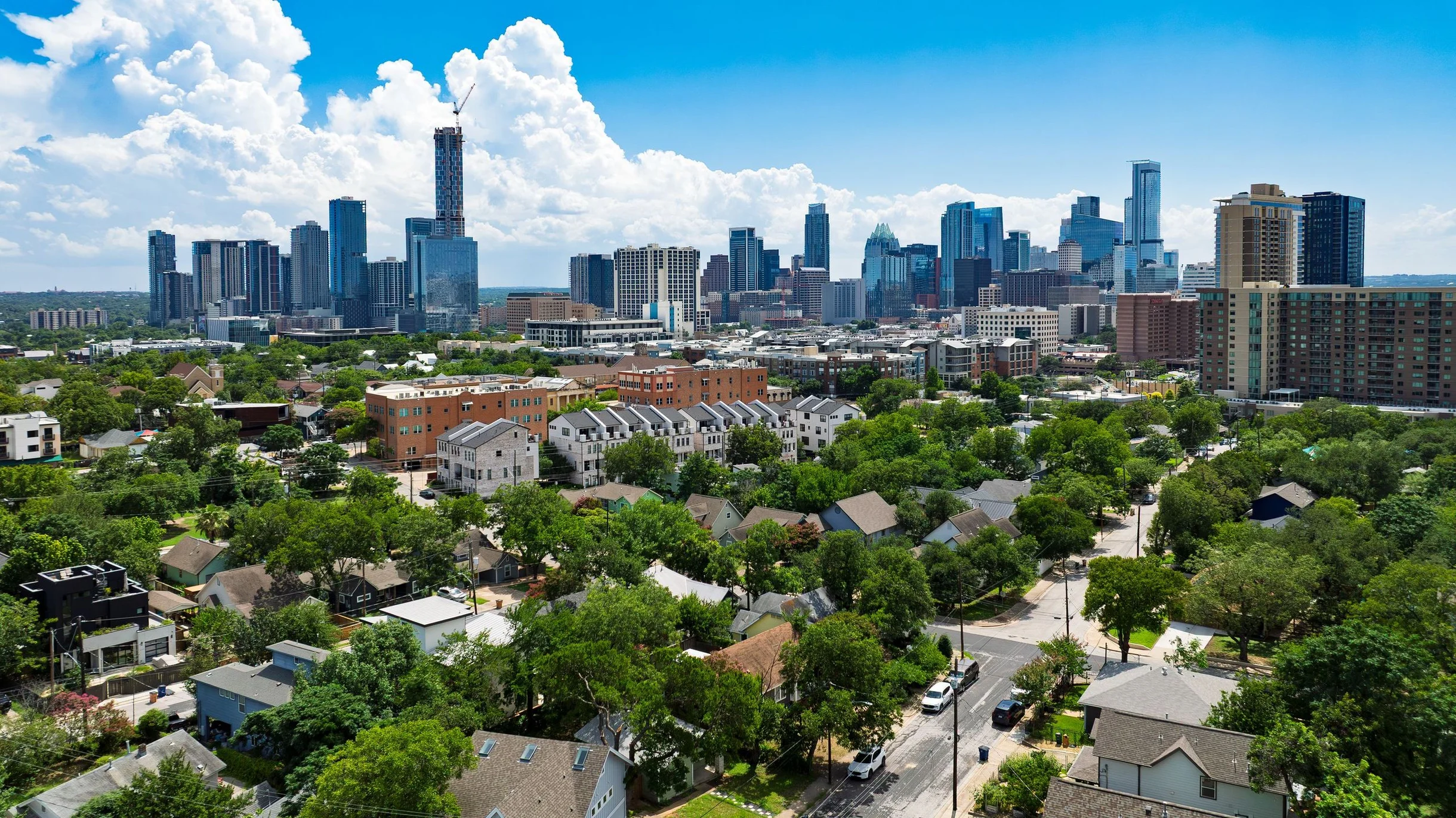 Wander Austin Timber #71