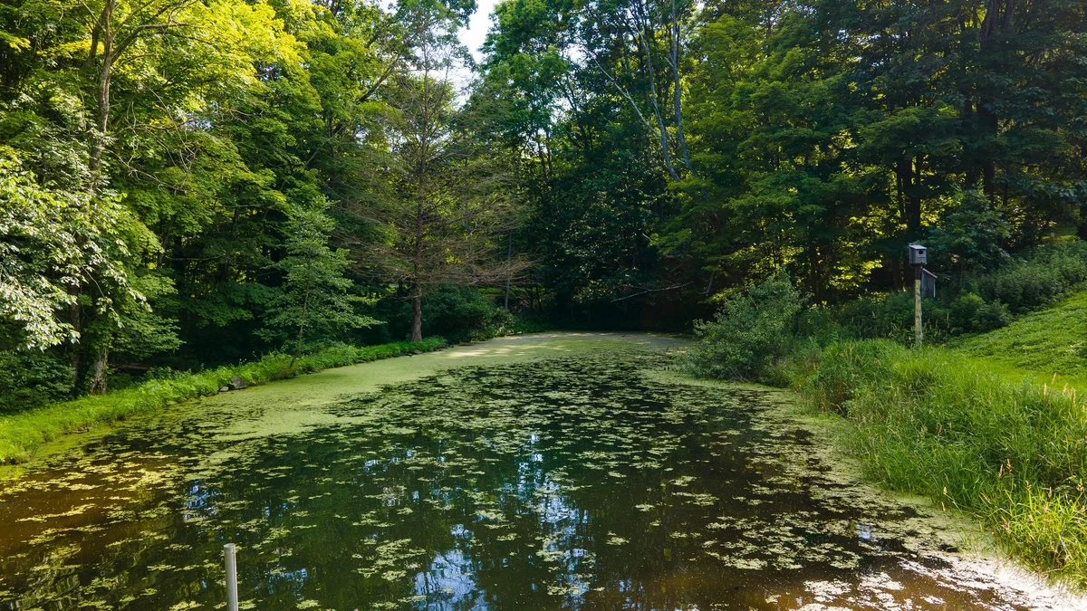 Wander Hudson Valley Retreat #97