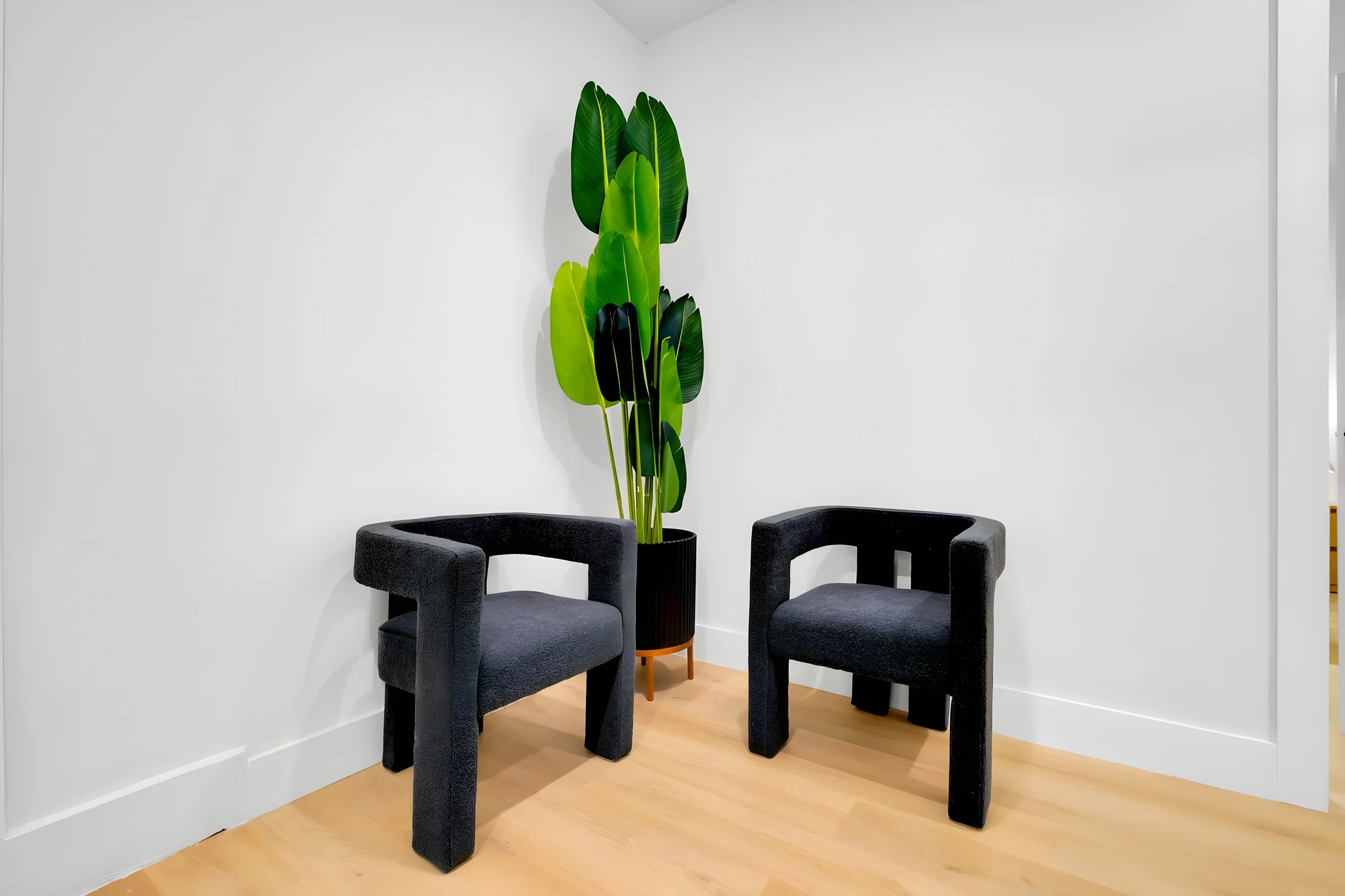 Wander Miami Haven #7