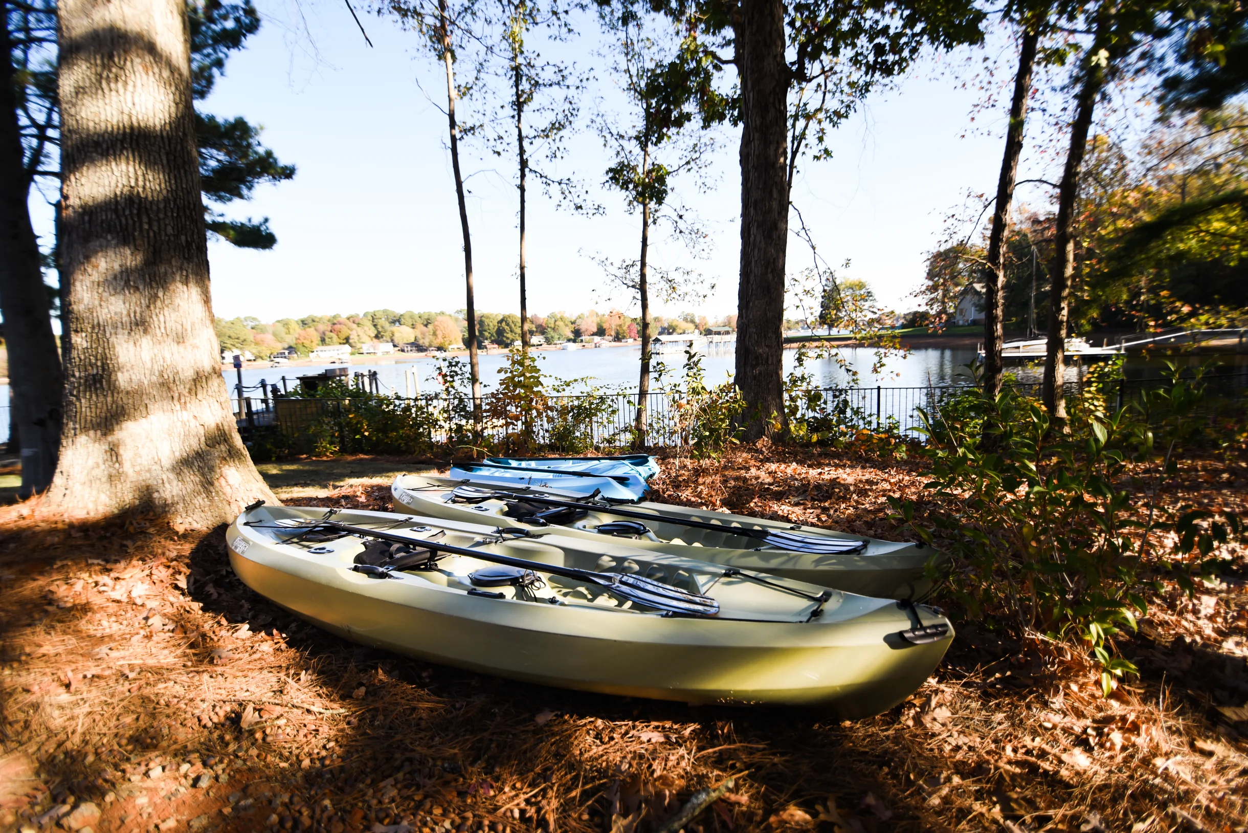 Paradise Cove #87
