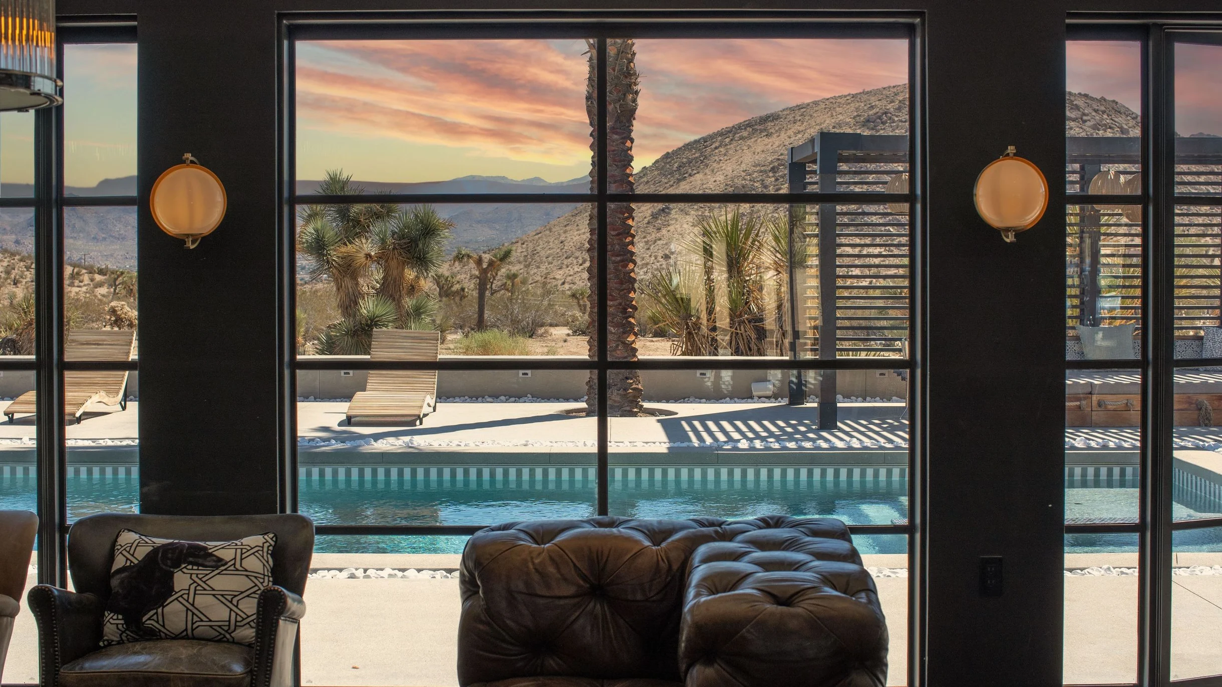 Wander Yucca Valley Blooms #106