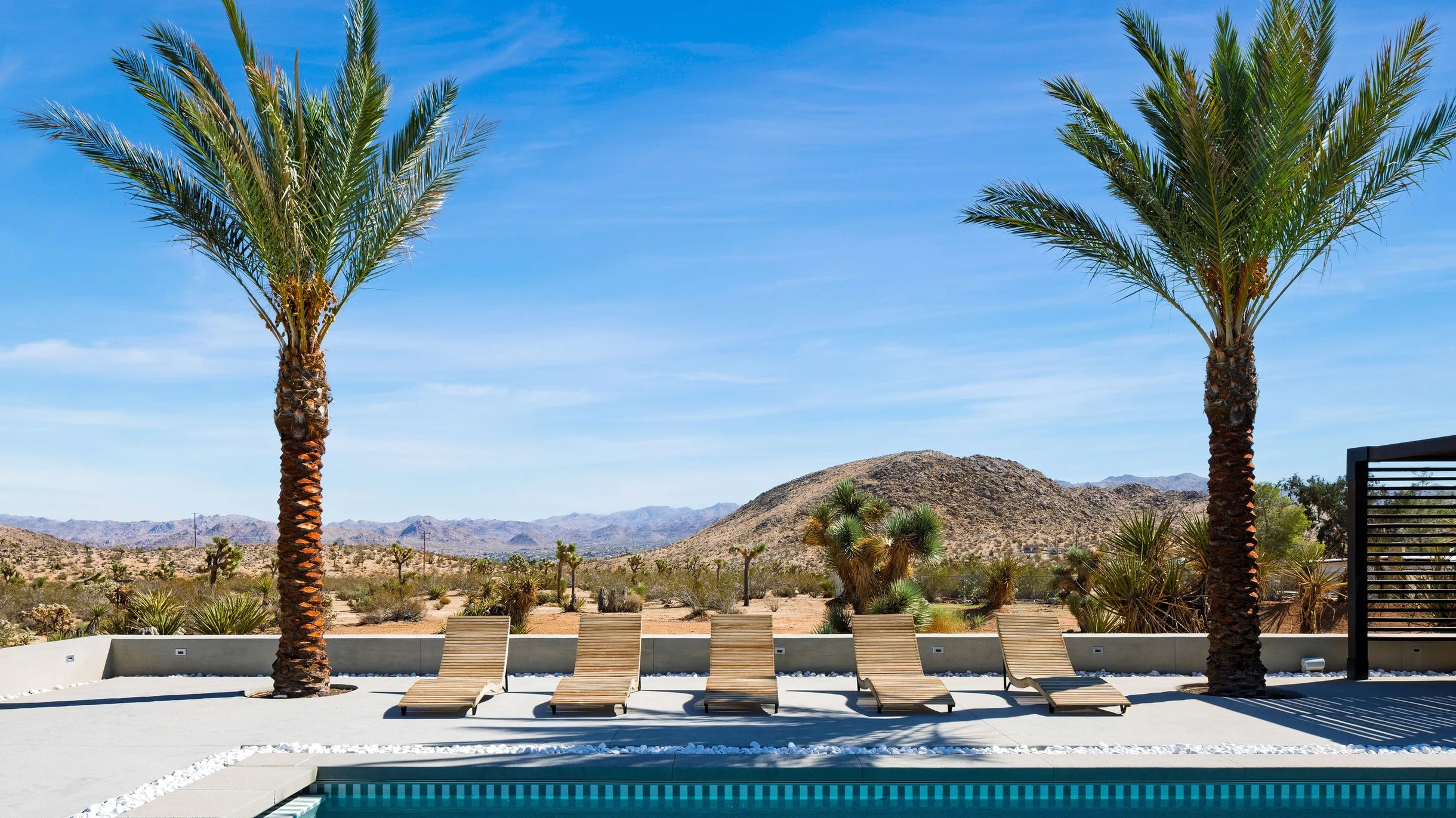 Wander Yucca Valley Blooms #72