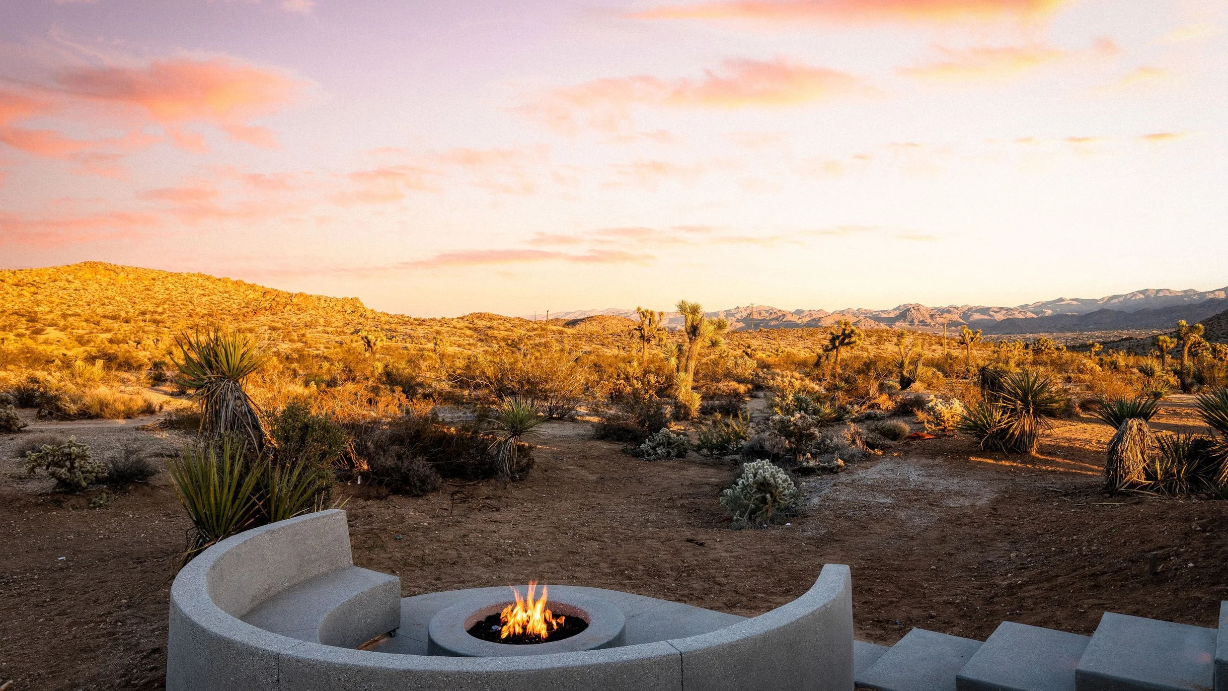 Wander Yucca Valley Blooms #118