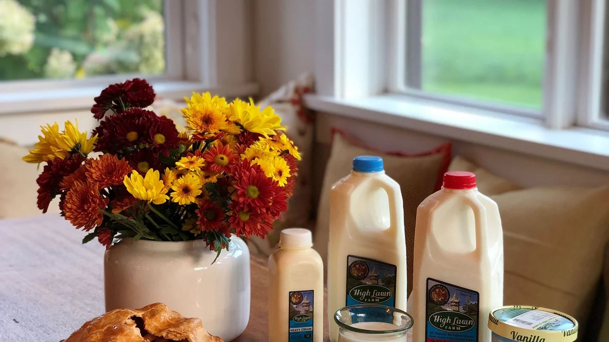 Wander Stockbridge Woods