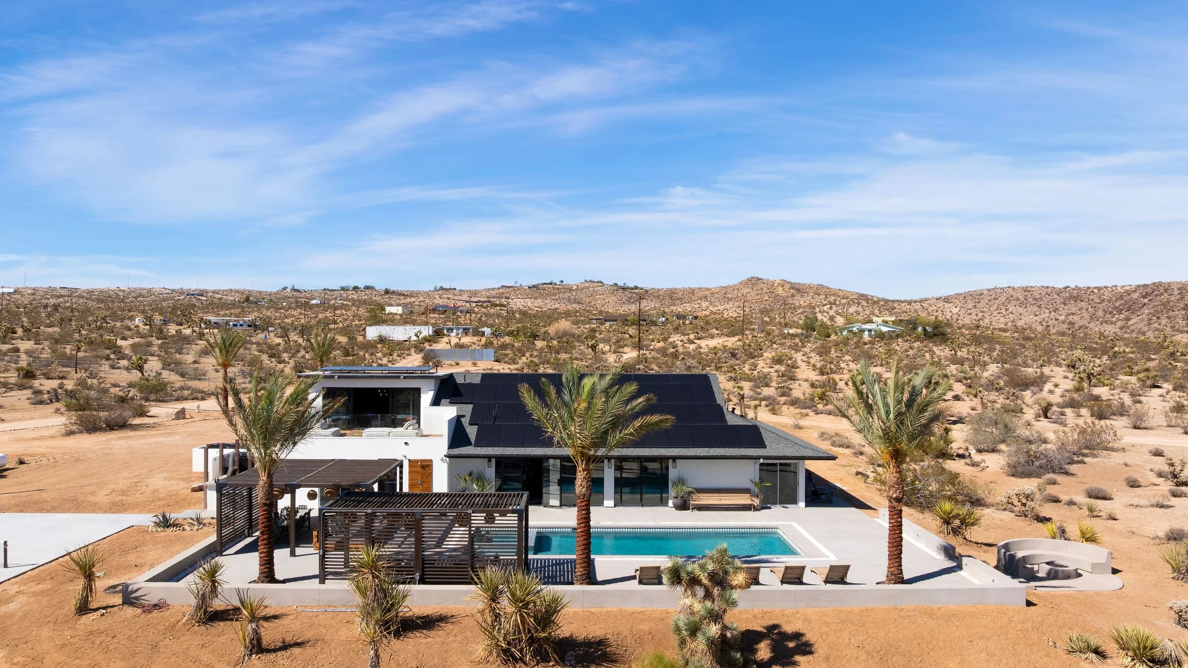 Wander Yucca Valley Blooms #133