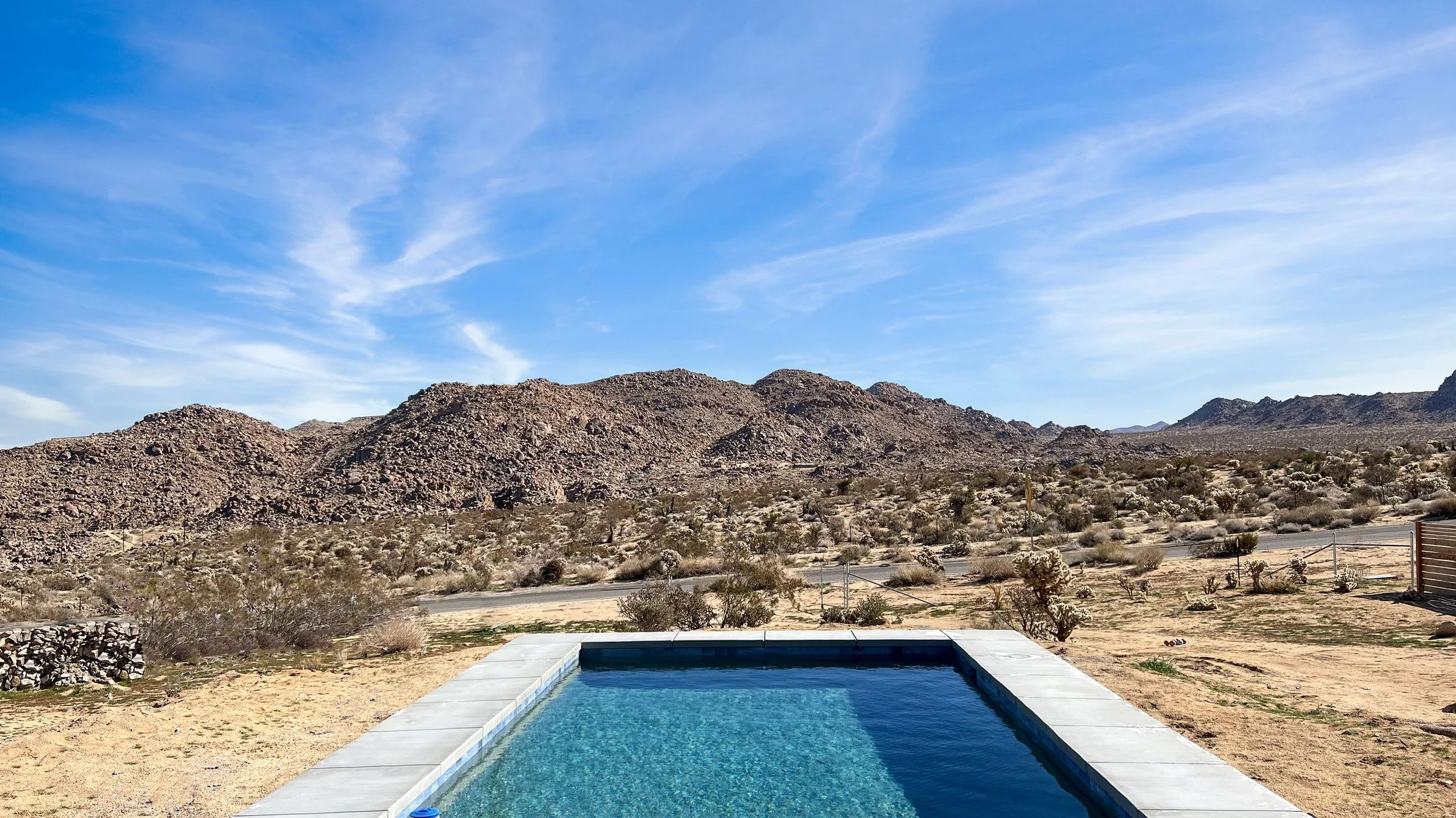 Wander Joshua Tree Paradise #42