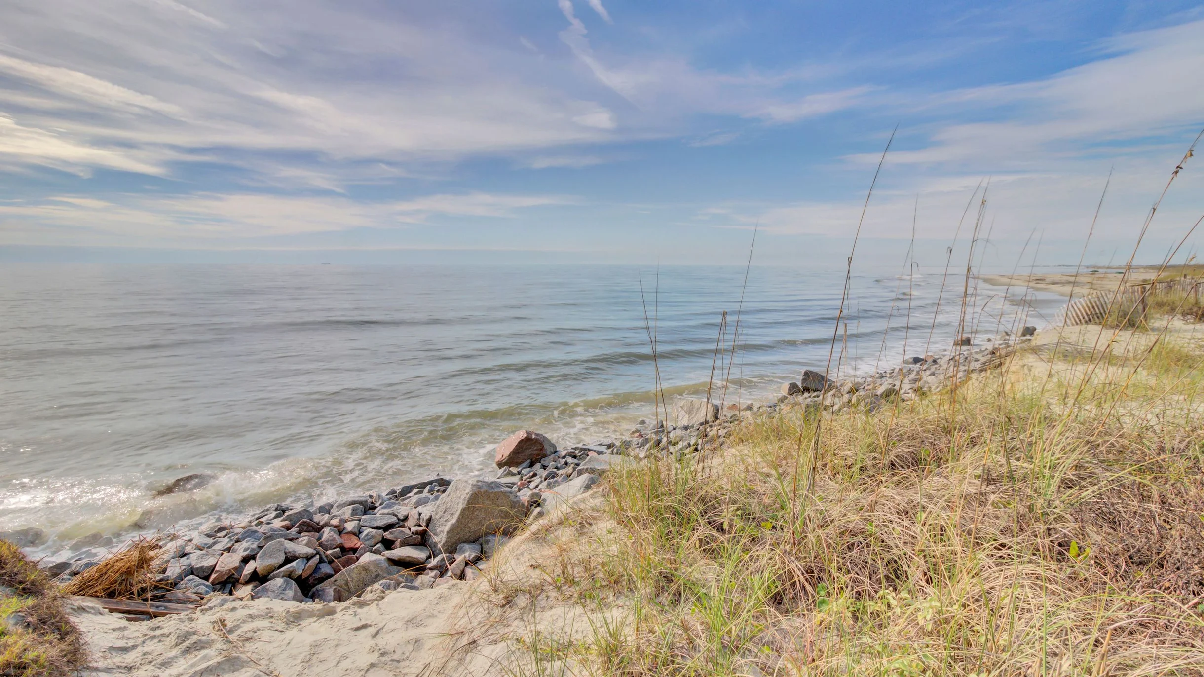 Wander Isle Palms Drift #99