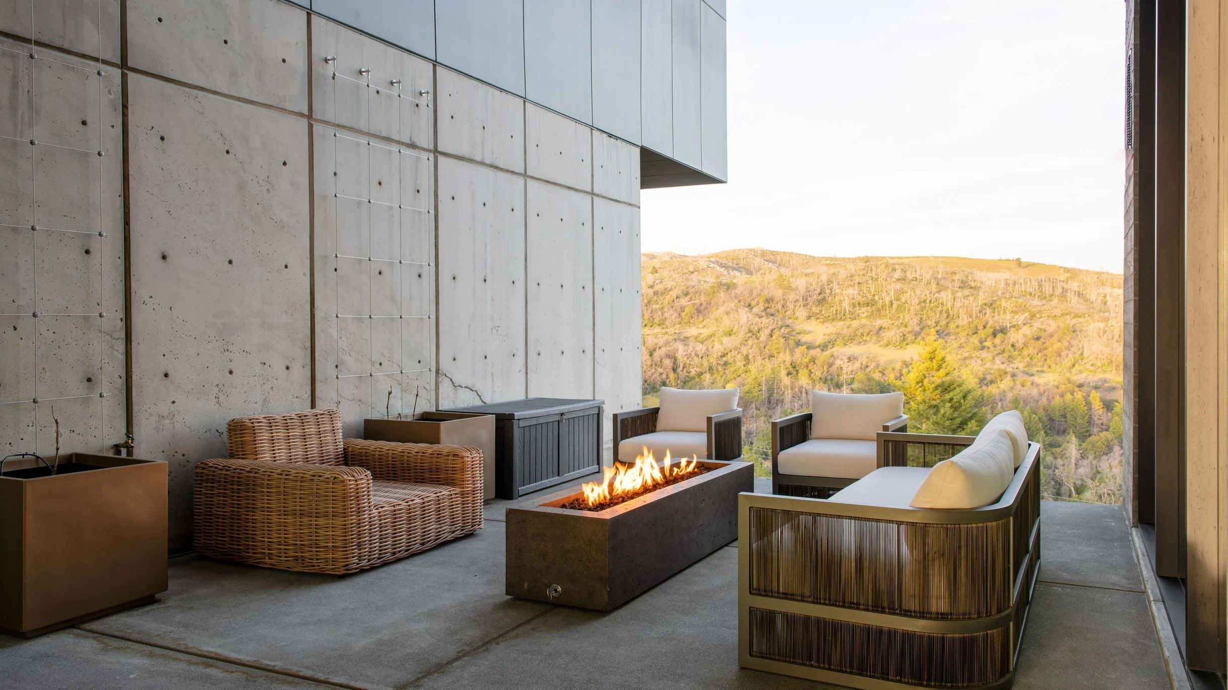 Wander Glen Ellen Vineyard #60