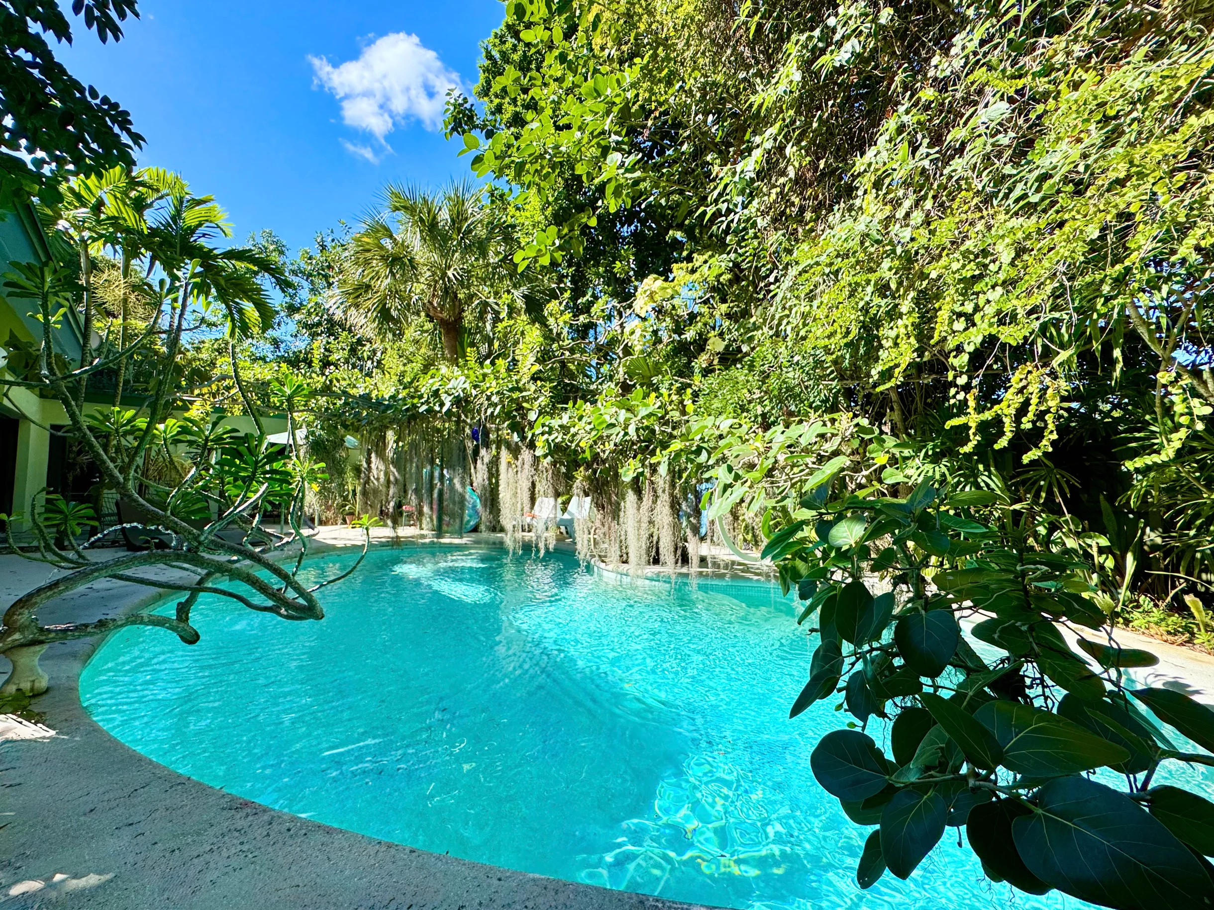 Wander Wilton Waters #63