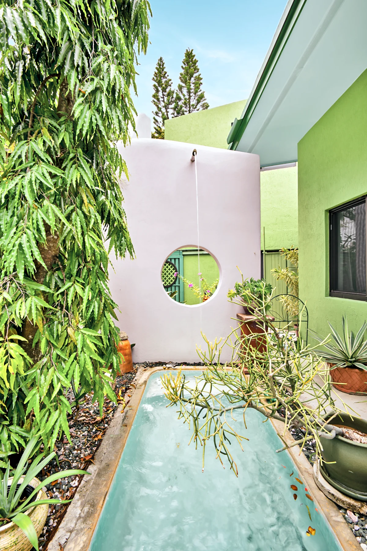 Wander Wilton Waters #50