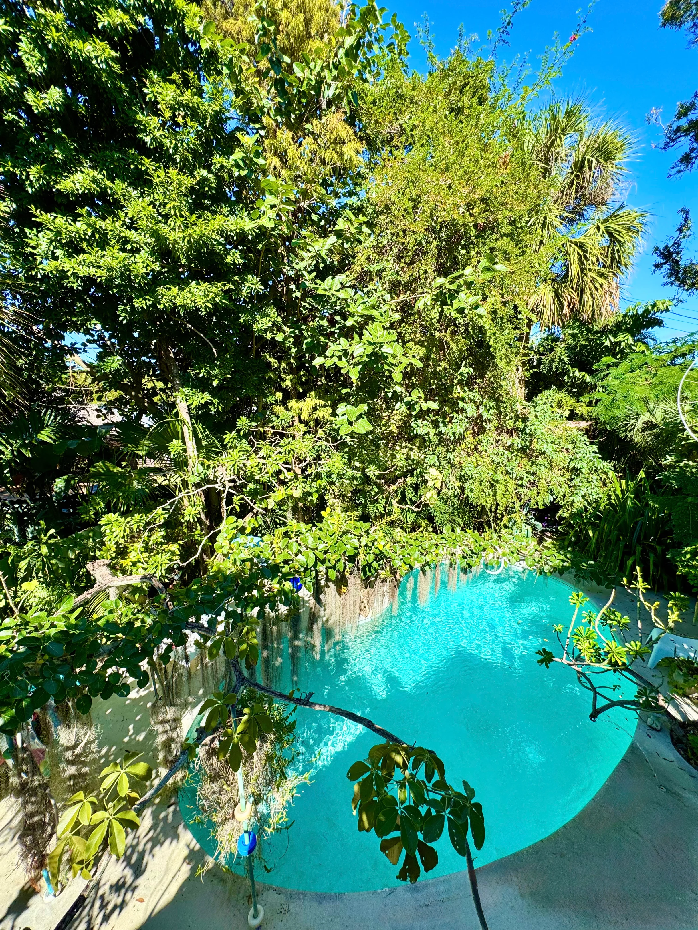 Wander Wilton Waters #54