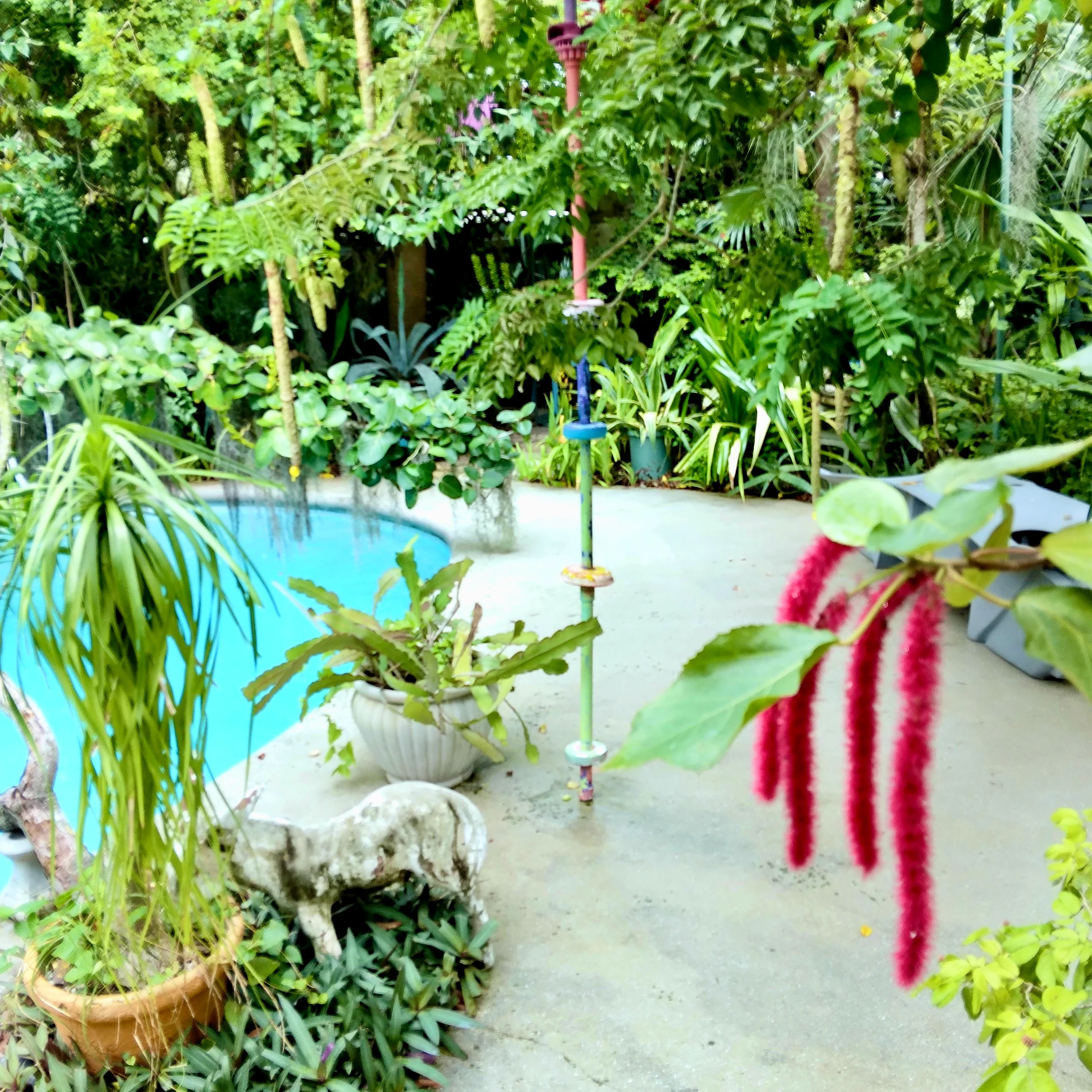 Wander Wilton Waters #25