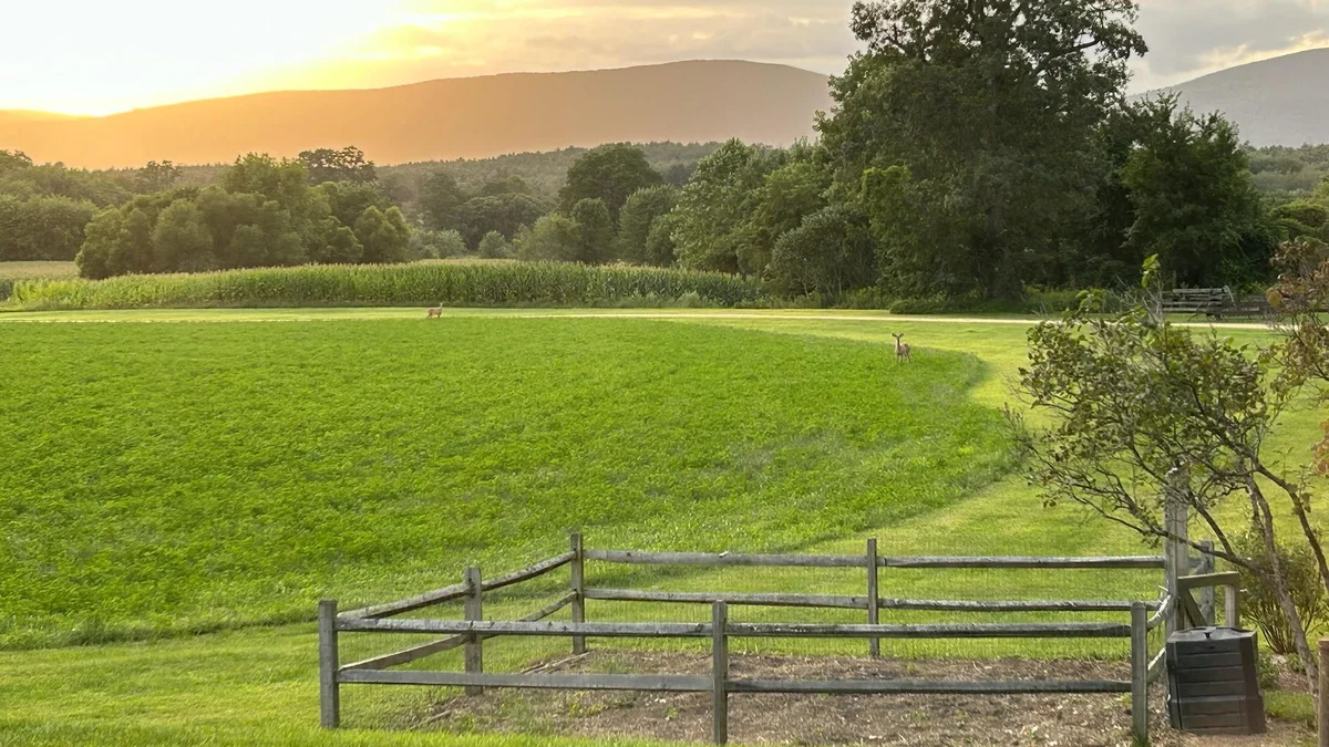Wander Berkshires Farmhouse #82