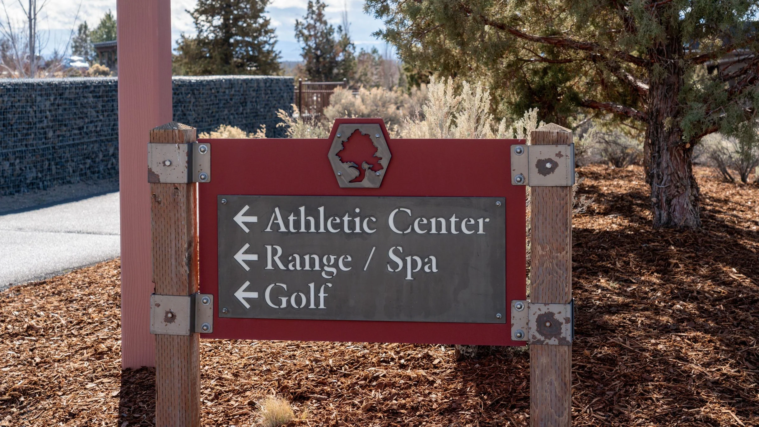 Wander Powell Butte Pines #57