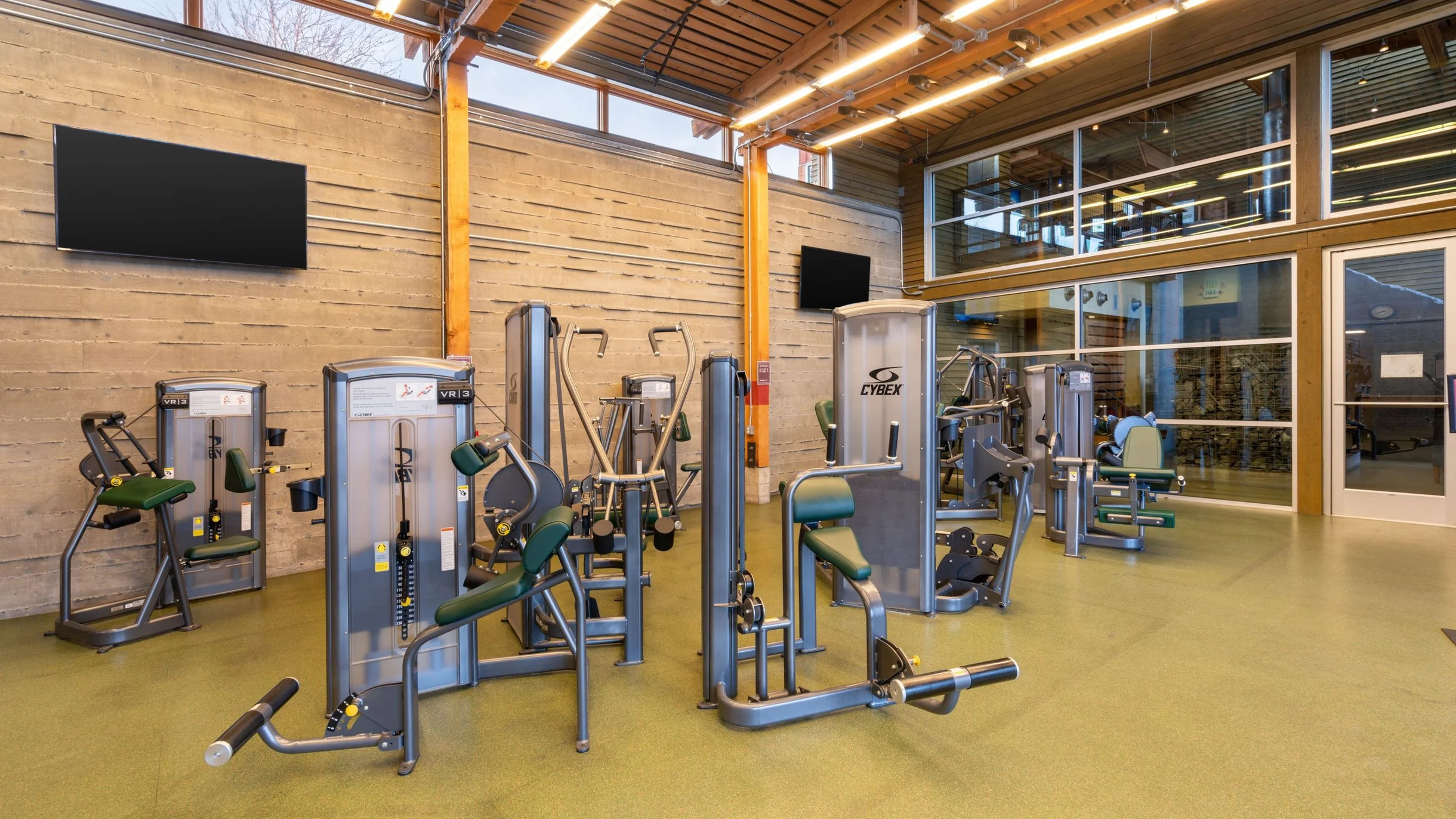 Wander Powell Butte Pines #81