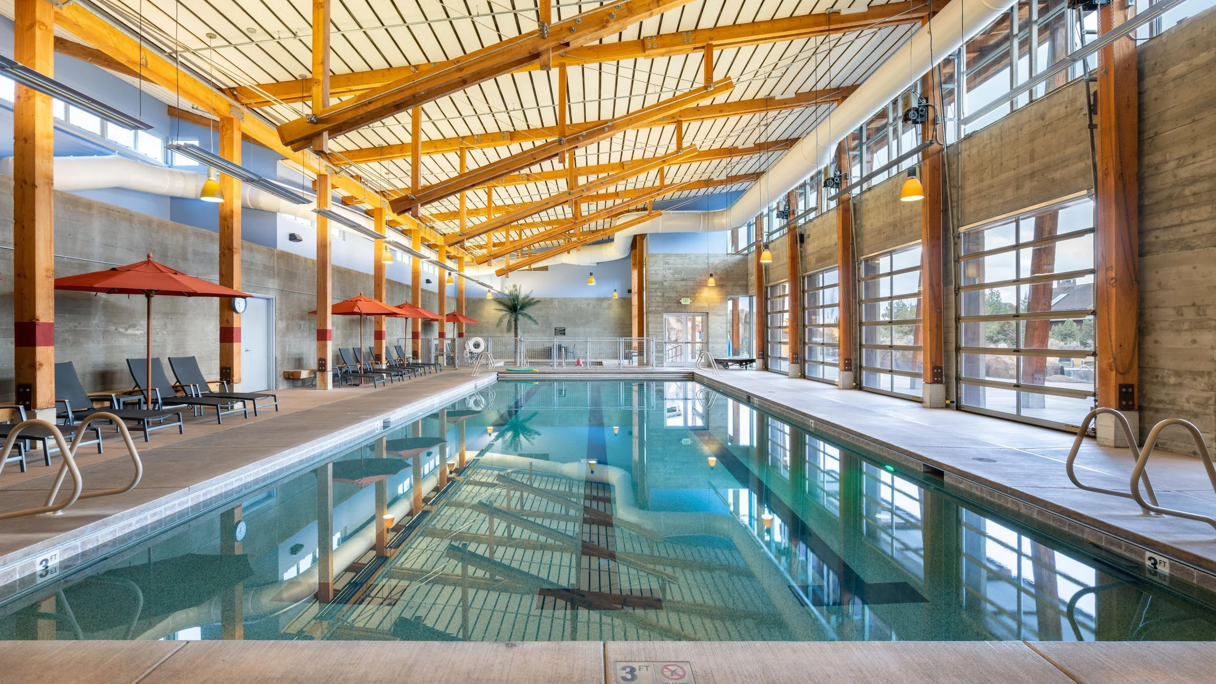 Wander Powell Butte Pines #79