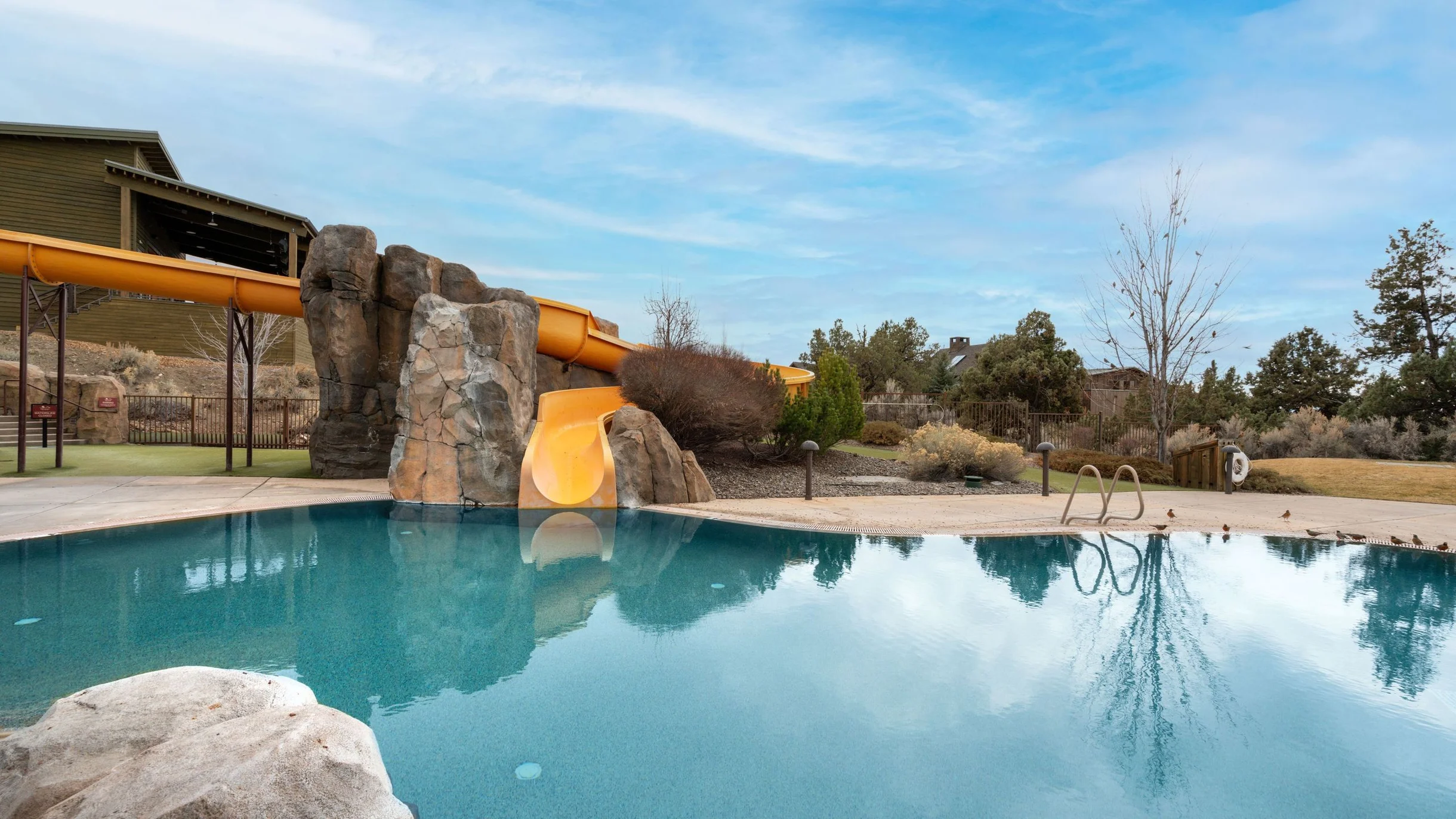 Wander Powell Butte Pines #83