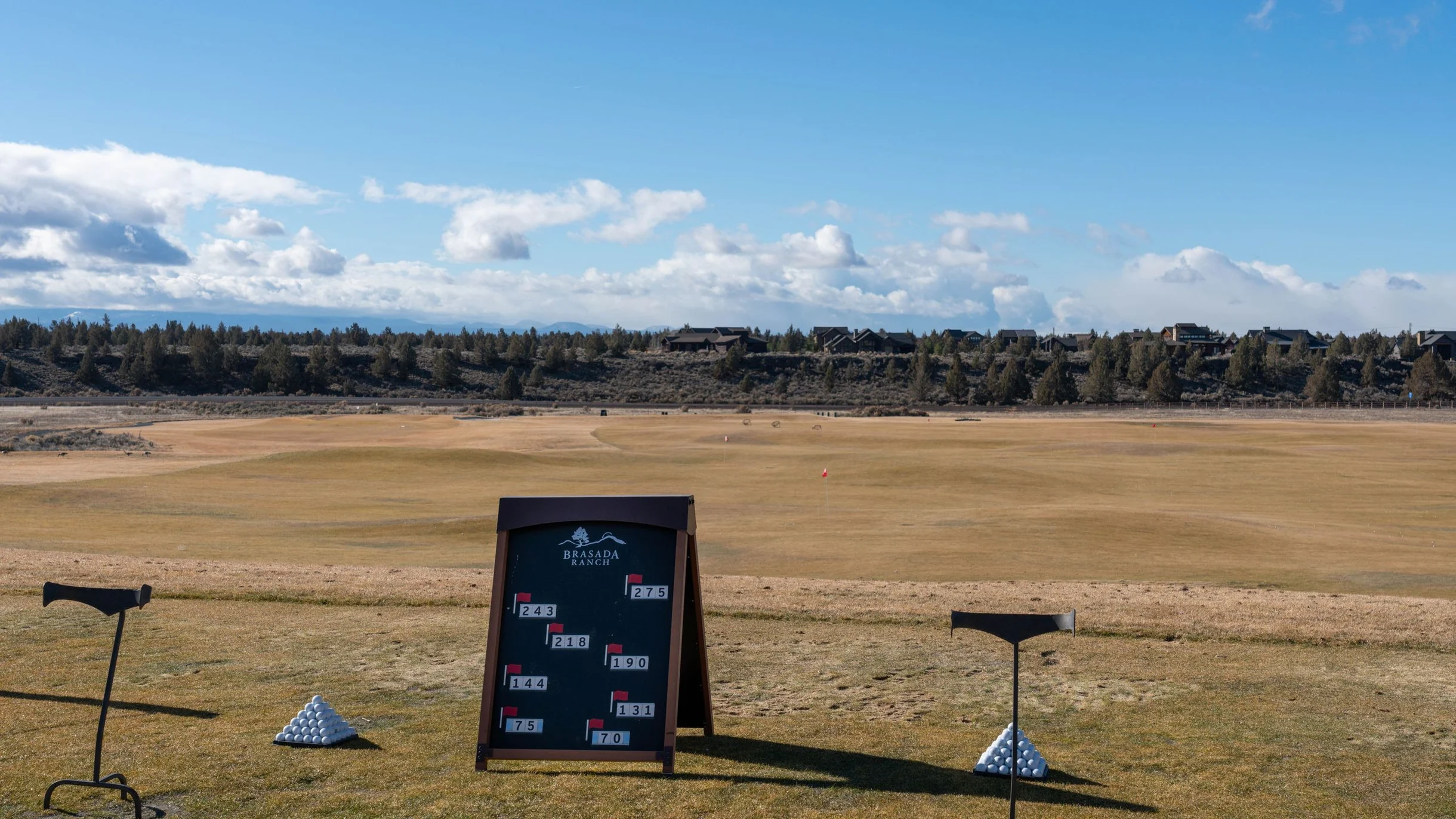 Wander Powell Butte Pines #29