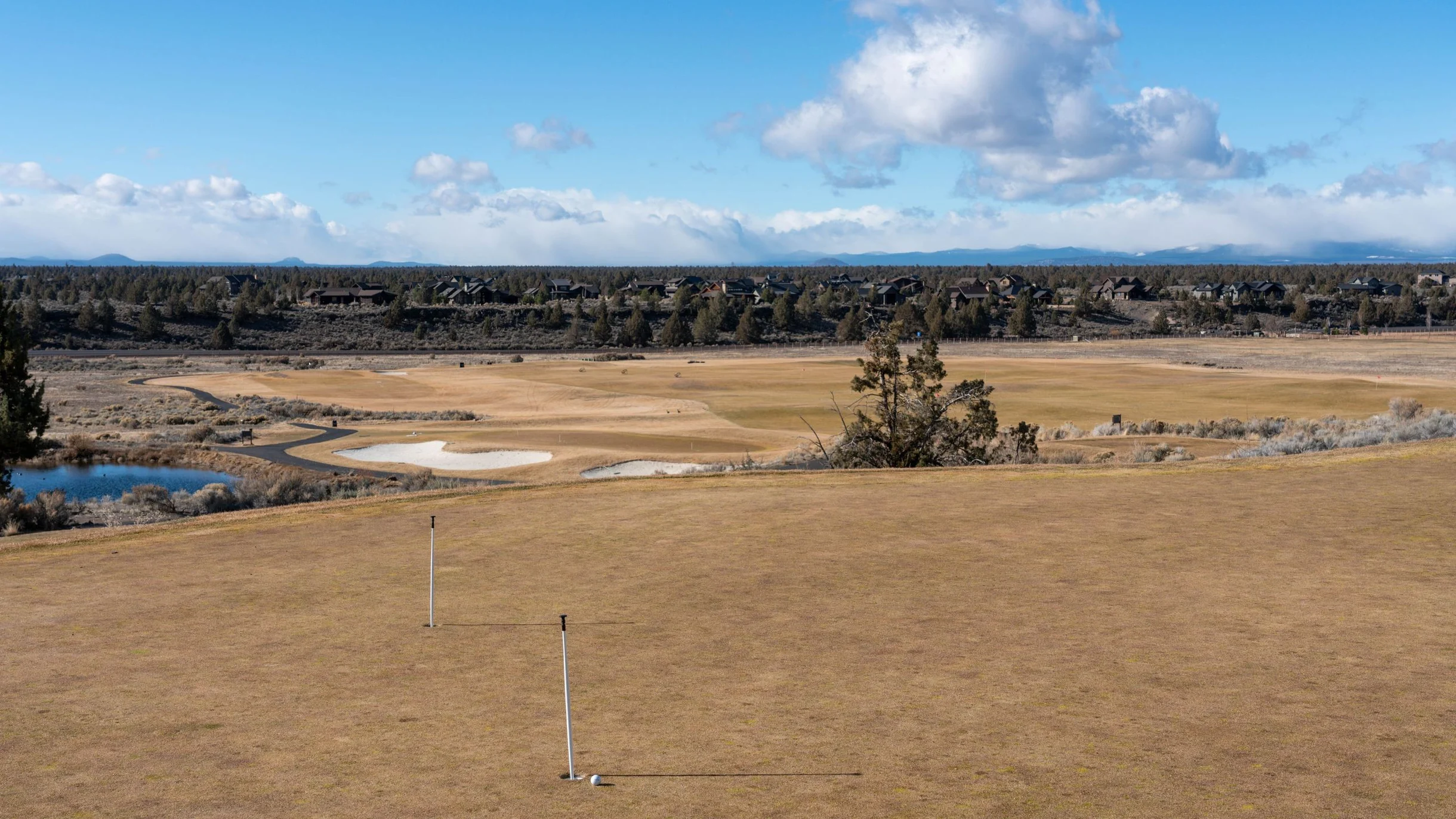 Wander Powell Butte Pines #72