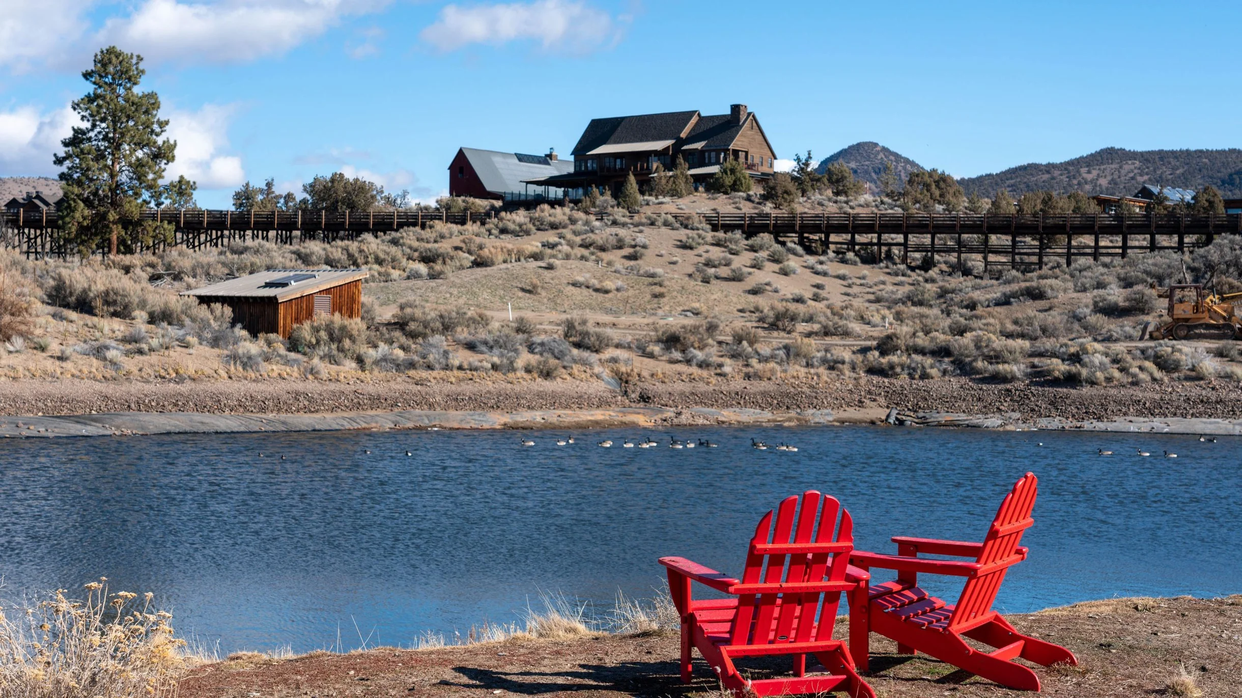Wander Powell Butte Pines #35