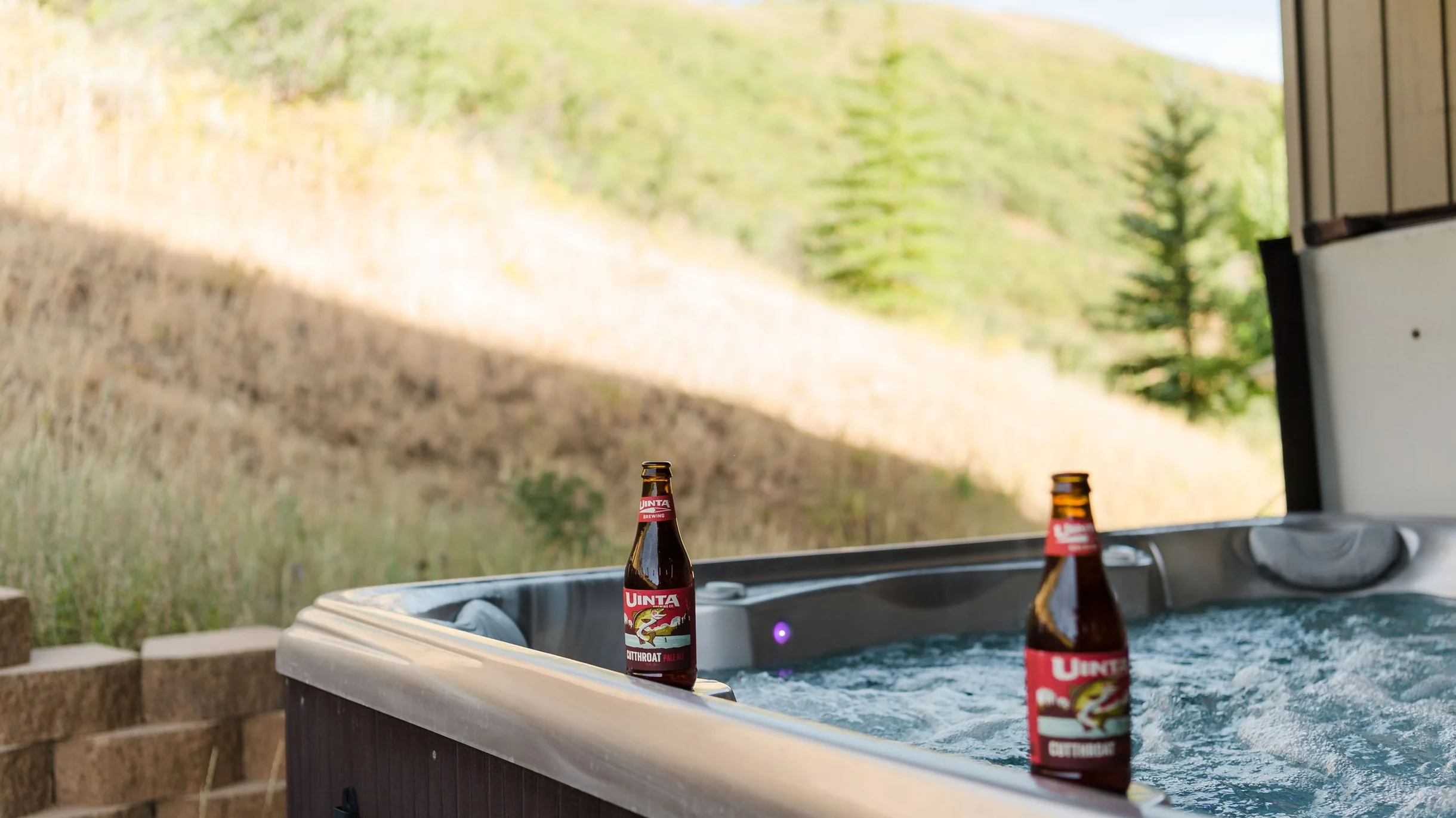 Wander Park City Glens #44